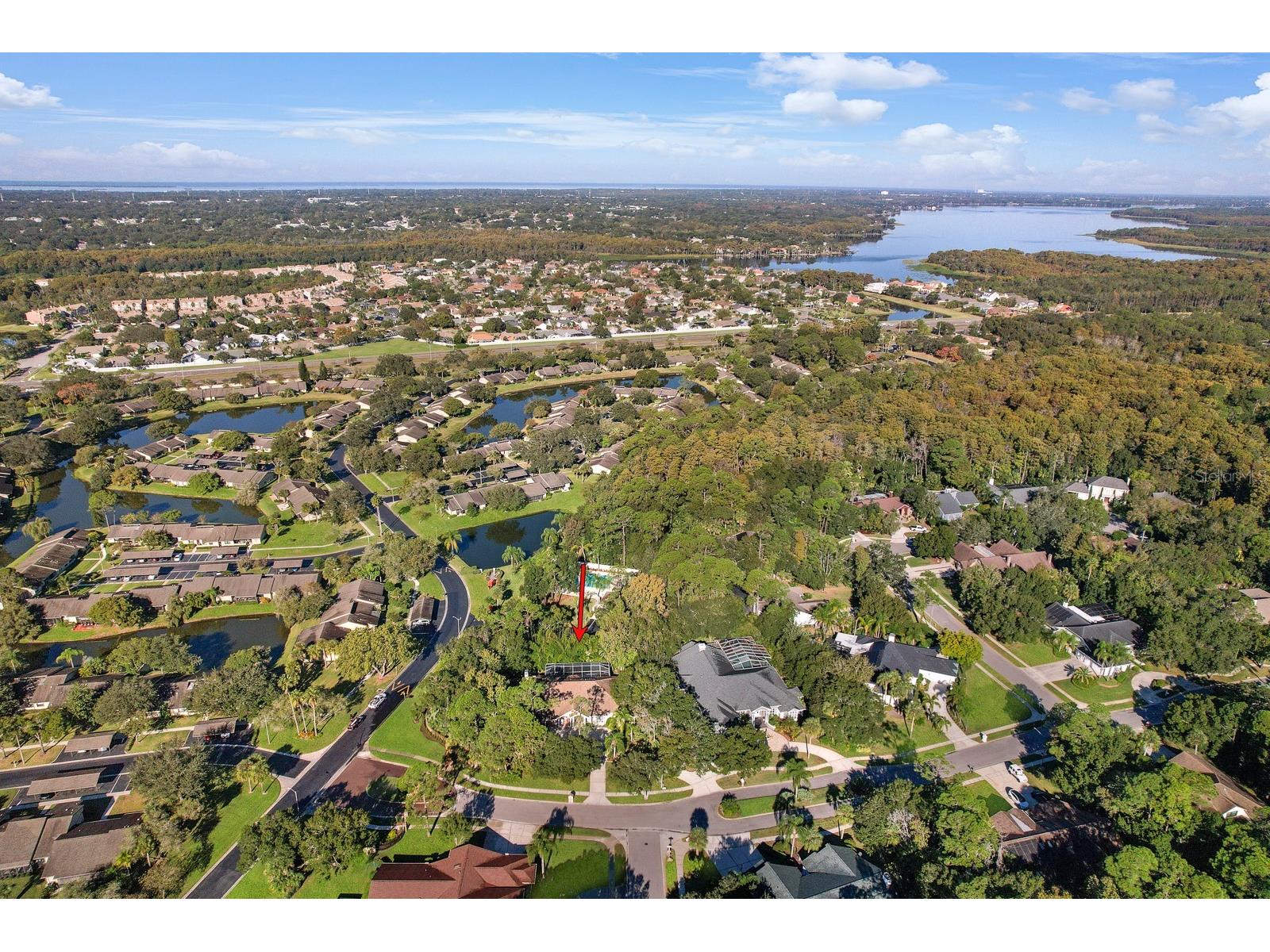 110 Deerpath Drive Oldsmar FL 34677 TB8462357 image83