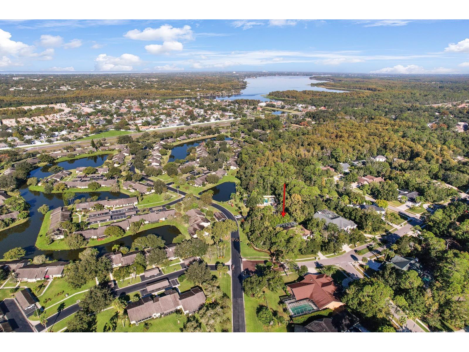 110 Deerpath Drive Oldsmar FL 34677 TB8462357 image84