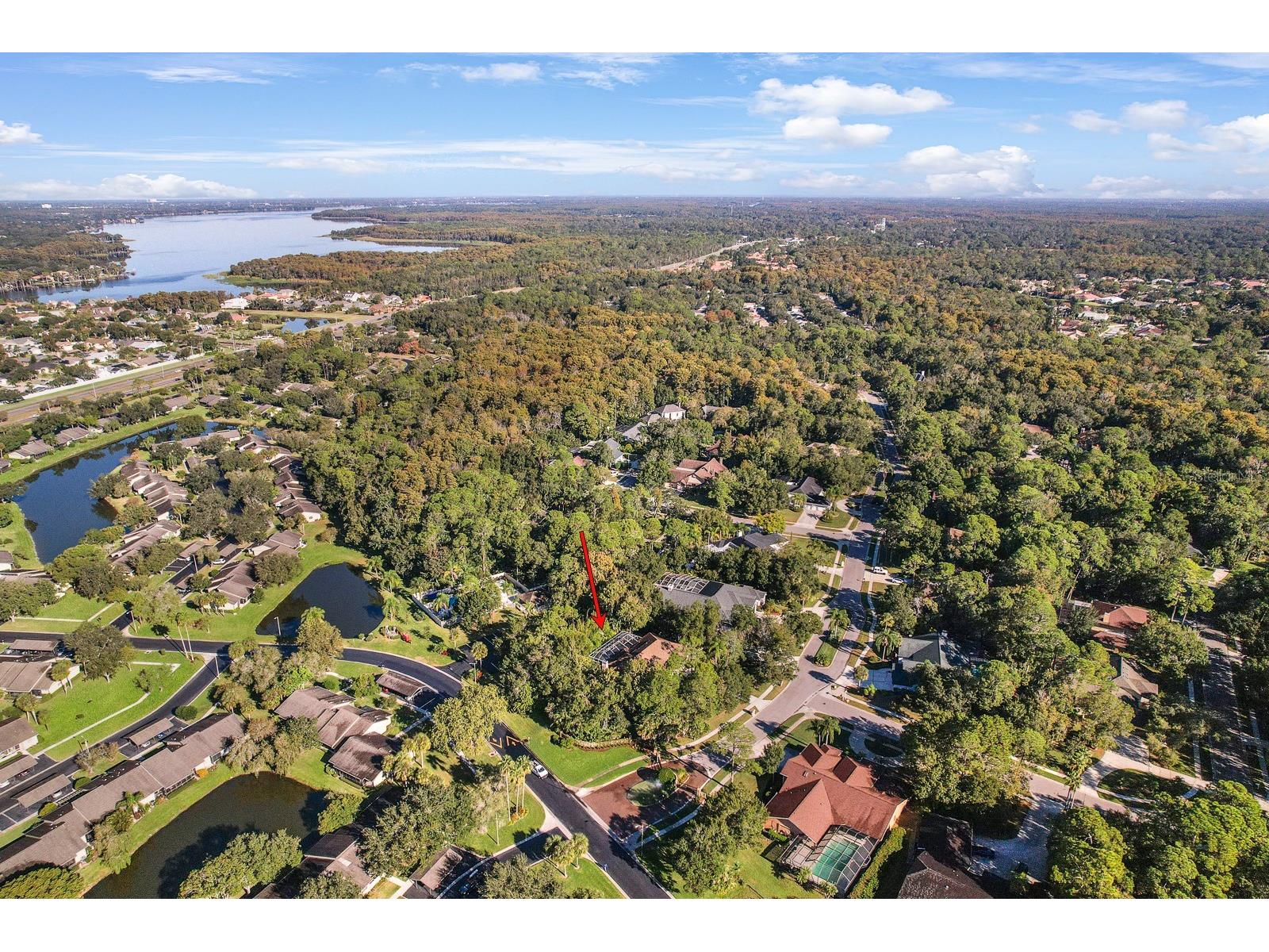 110 Deerpath Drive Oldsmar FL 34677 TB8462357 image85