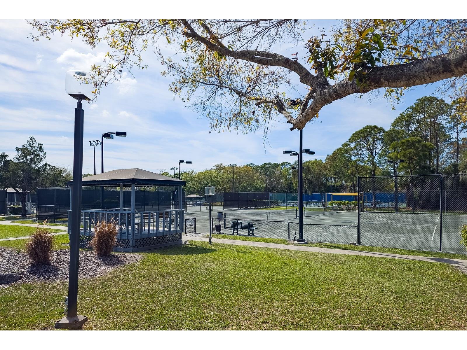 110 Deerpath Drive Oldsmar FL 34677 TB8462357 image92