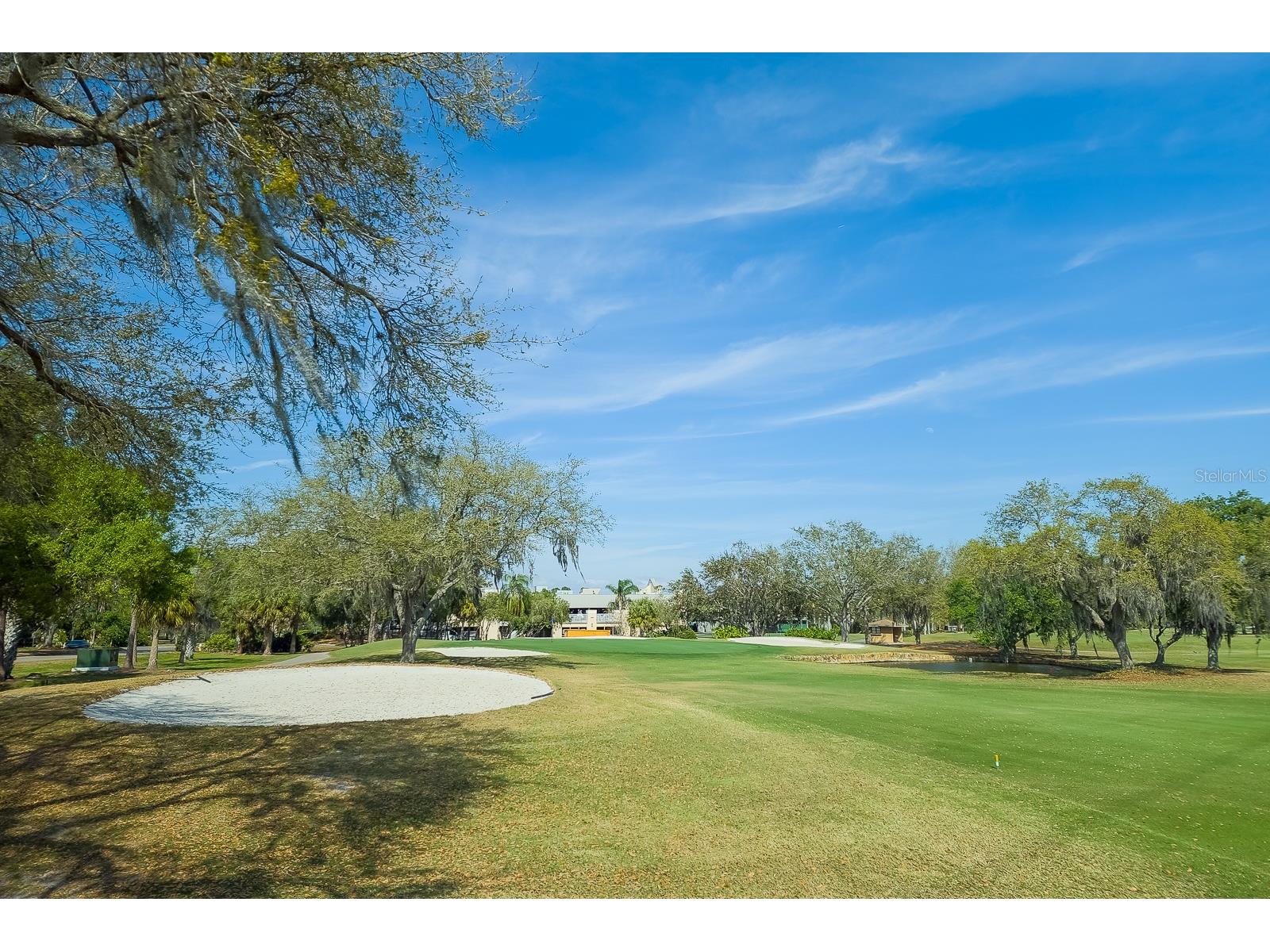 110 Deerpath Drive Oldsmar FL 34677 TB8462357 image95