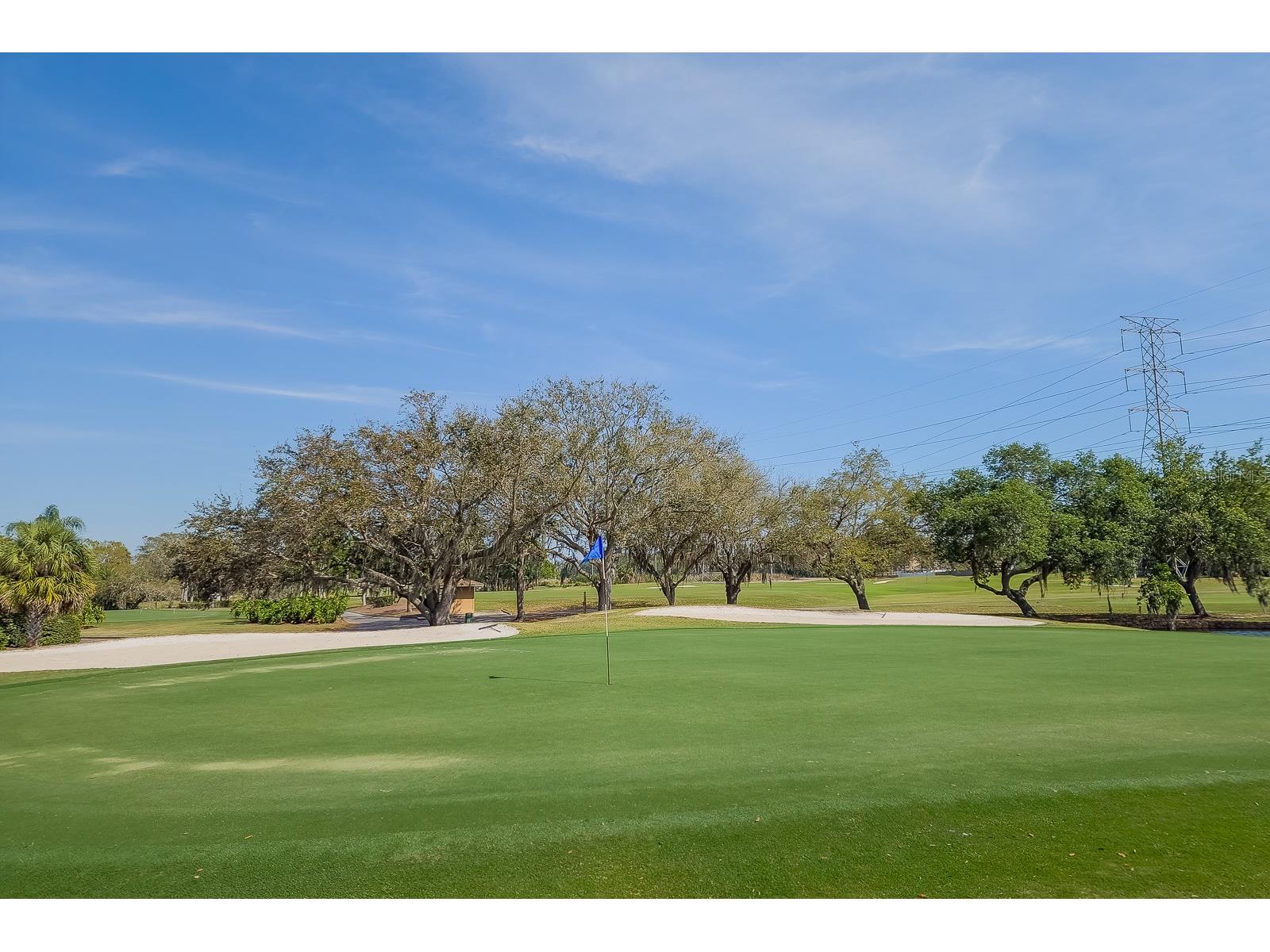 110 Deerpath Drive Oldsmar FL 34677 TB8462357 image96