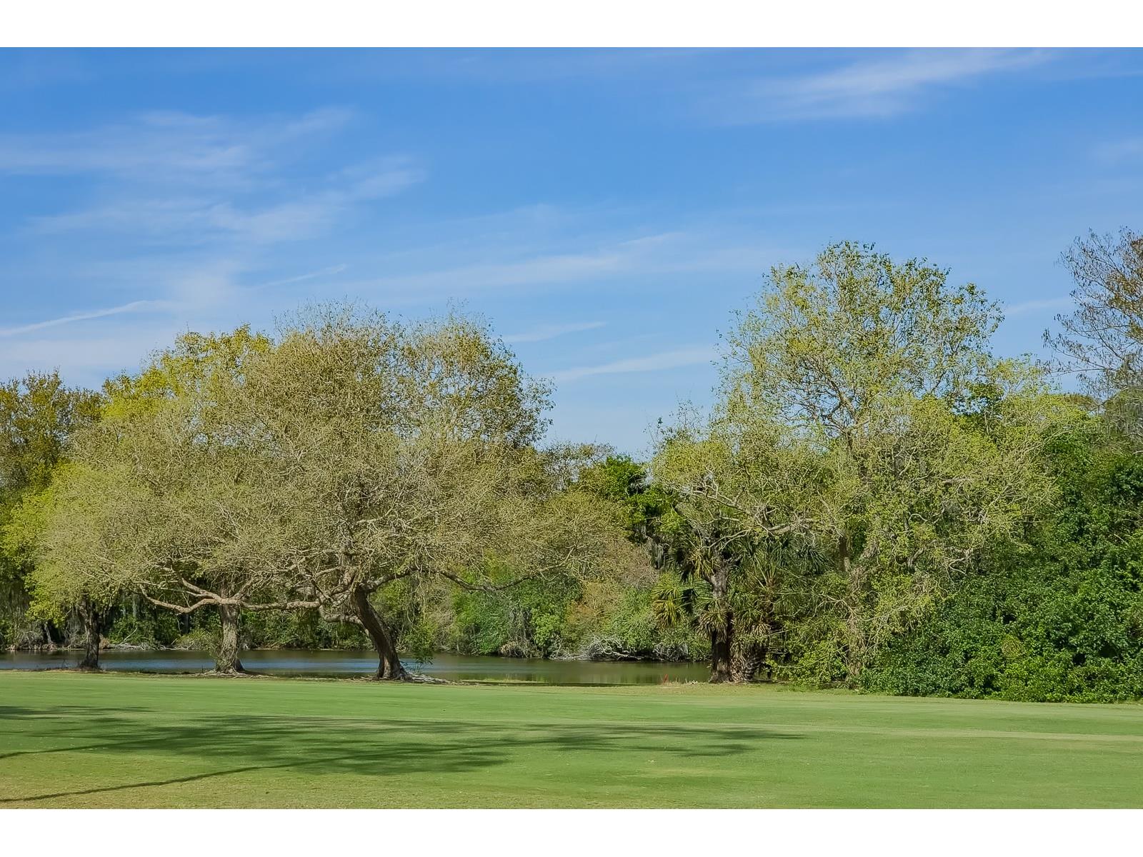 110 Deerpath Drive Oldsmar FL 34677 TB8462357 image97