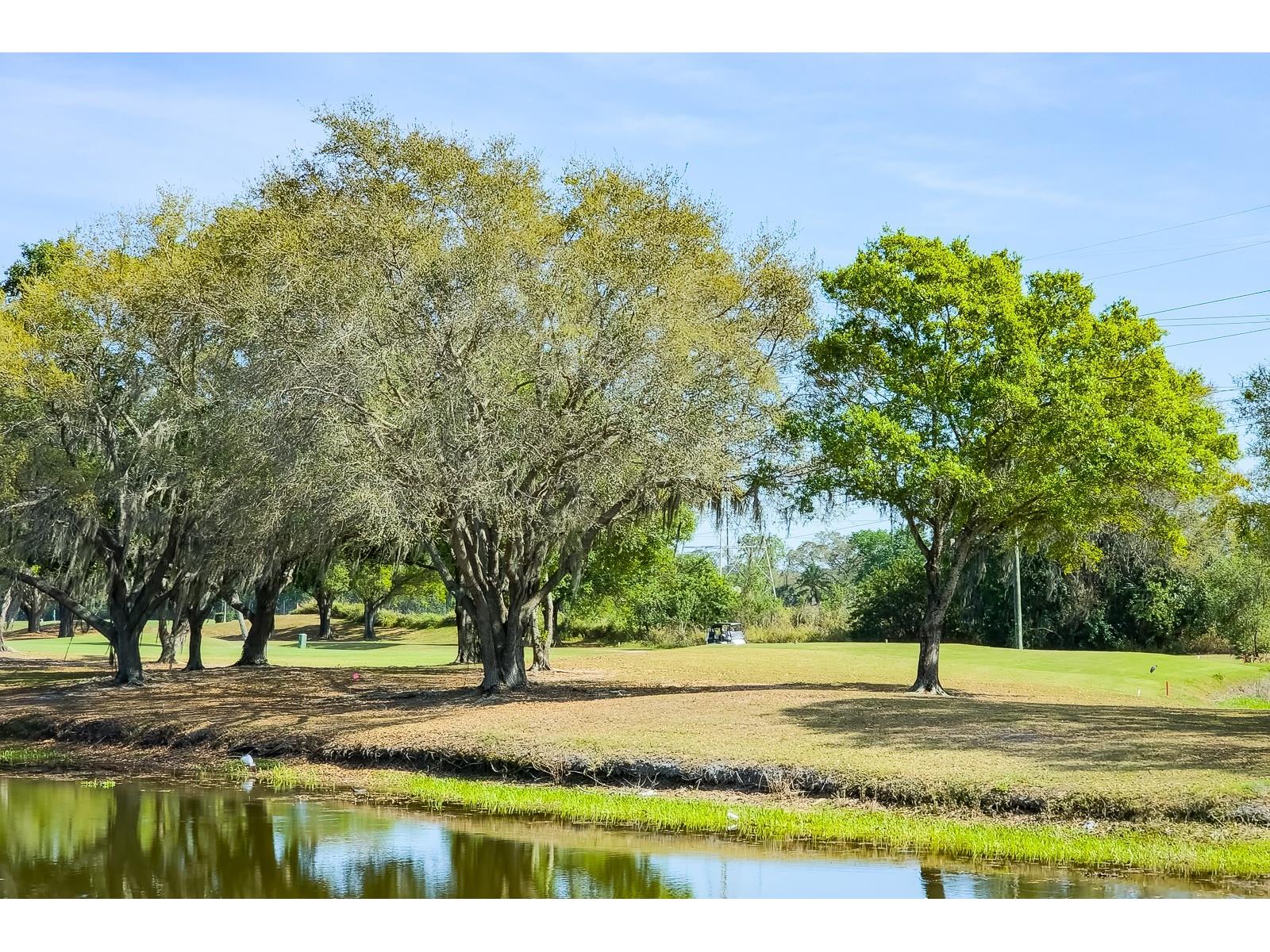 110 Deerpath Drive Oldsmar FL 34677 TB8462357 image98