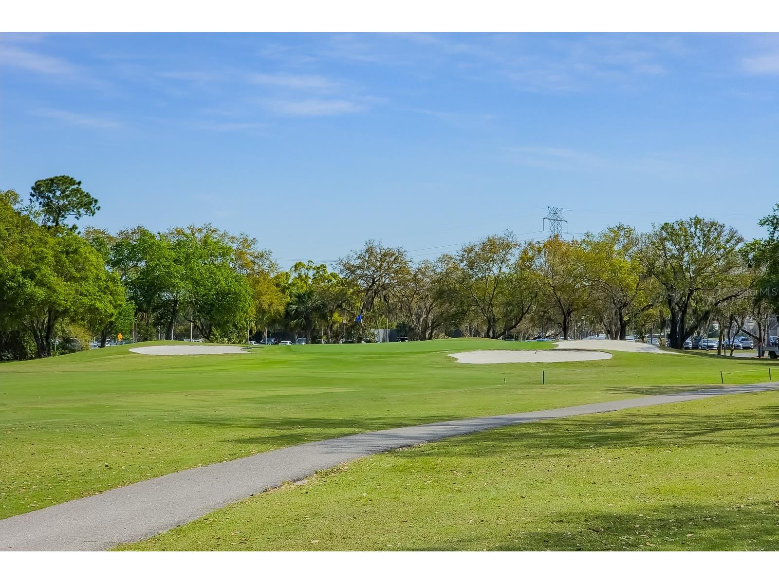 110 Deerpath Drive Oldsmar FL 34677 TB8462357 image99