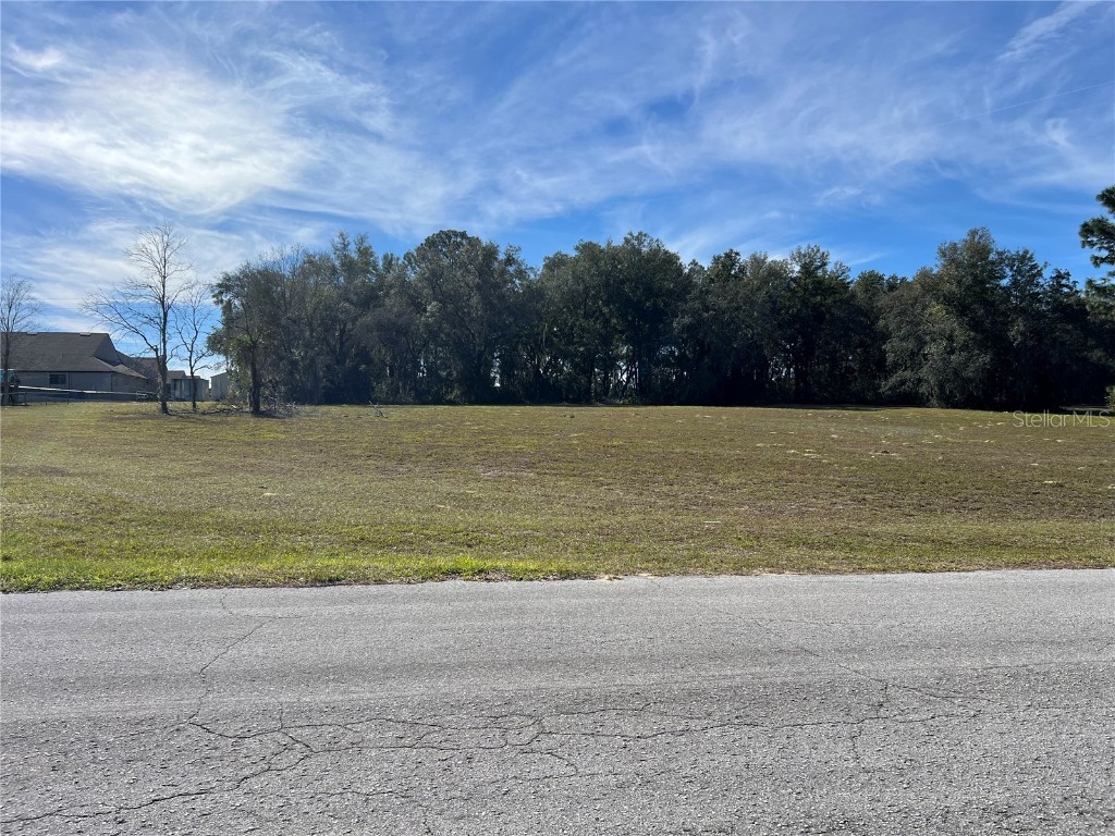 110 E Dusty Court Hernando FL 34442 G5078169 image1