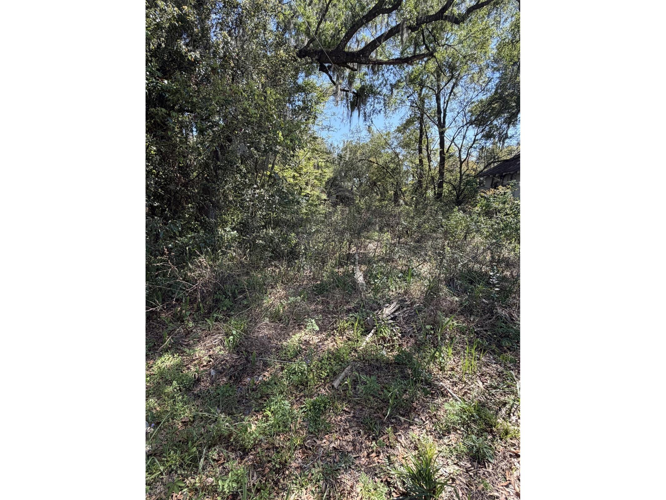 110 E Mercers Fernery Road Deland FL 32724 V4948006 image1