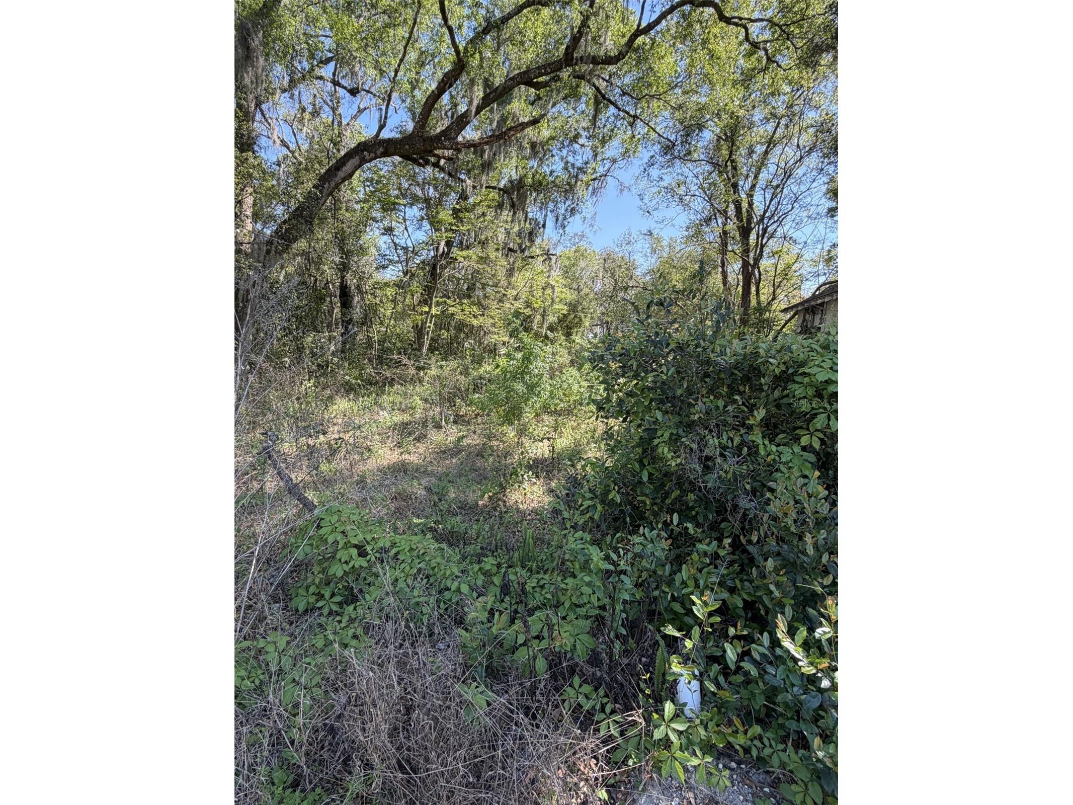 110 E Mercers Fernery Road Deland FL 32724 V4948006 image2