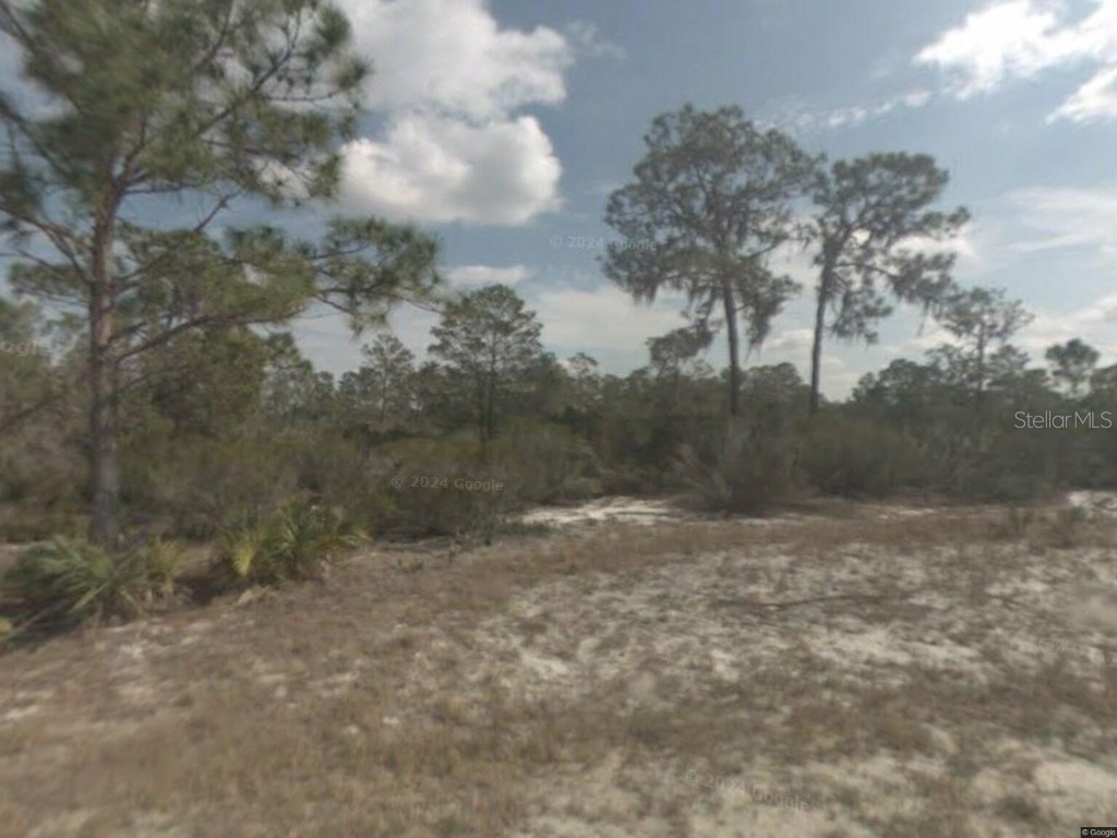 110 Flo Avenue NW Lake Placid FL 33852 TB8370771 image1