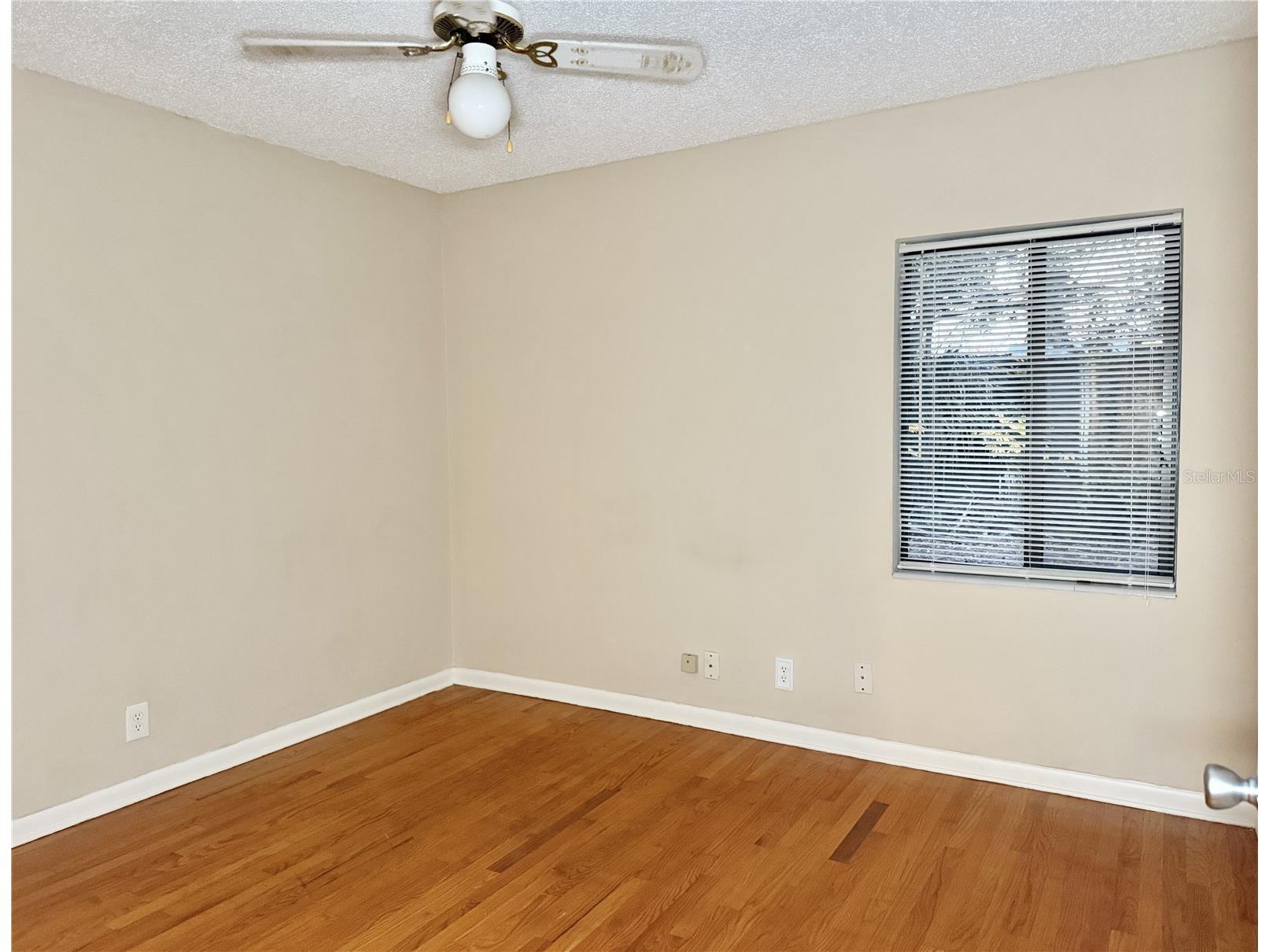 110 Glen Ridge Avenue Temple Terrace FL 33617 TB8456481 image18