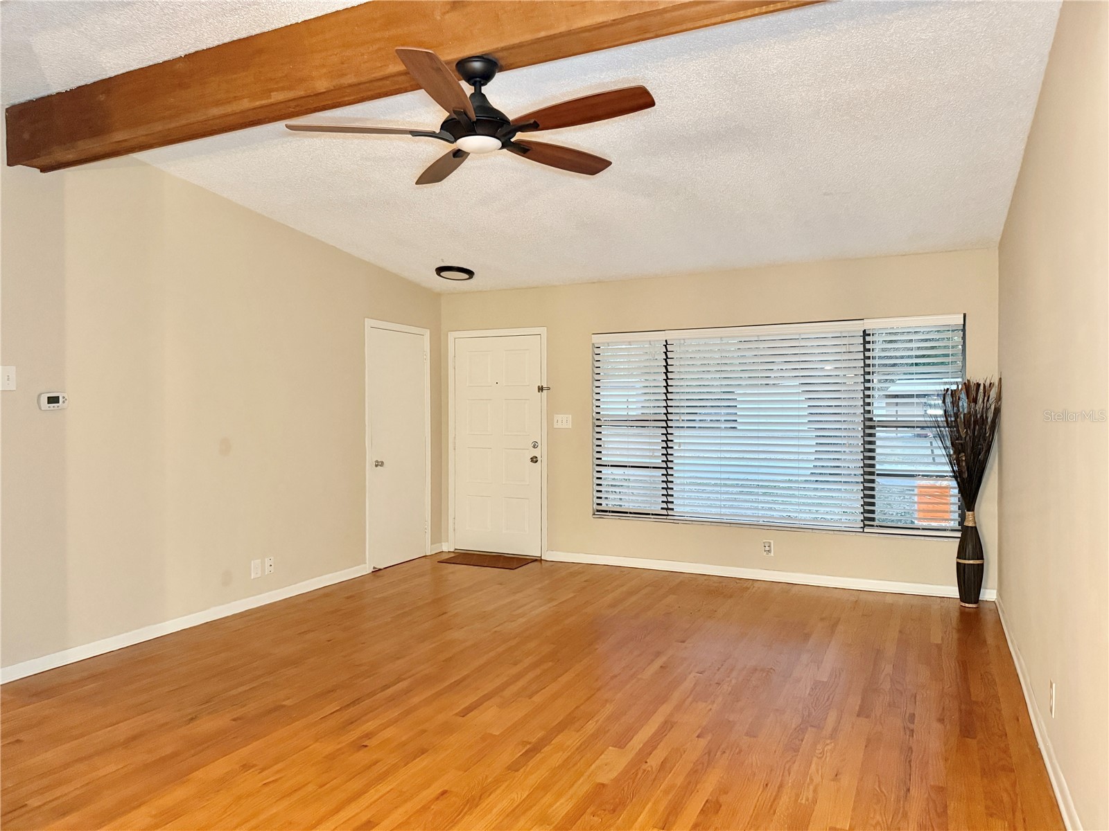 110 Glen Ridge Avenue Temple Terrace FL 33617 TB8456481 image5