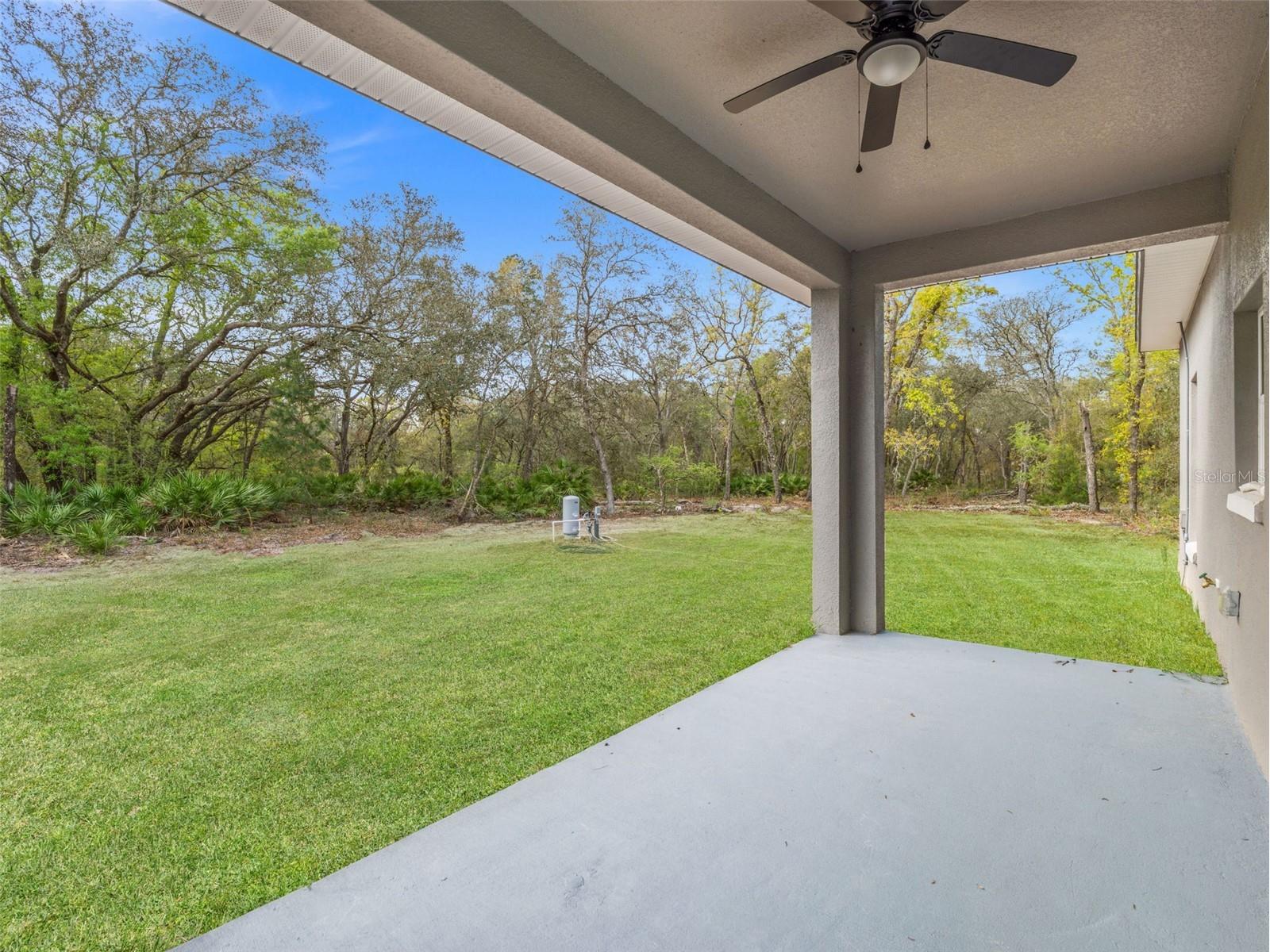 110 Guava Place Drive Ocklawaha FL 32179 O6394786 image28