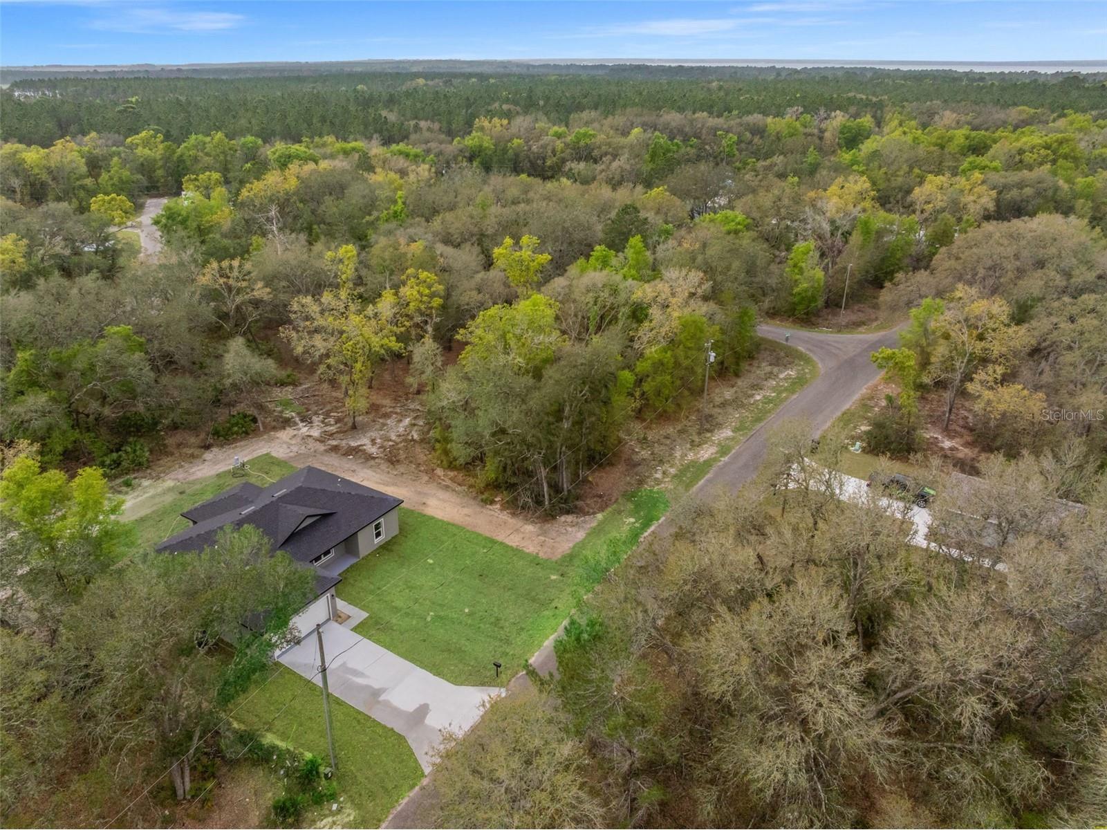 110 Guava Place Drive Ocklawaha FL 32179 O6394786 image39