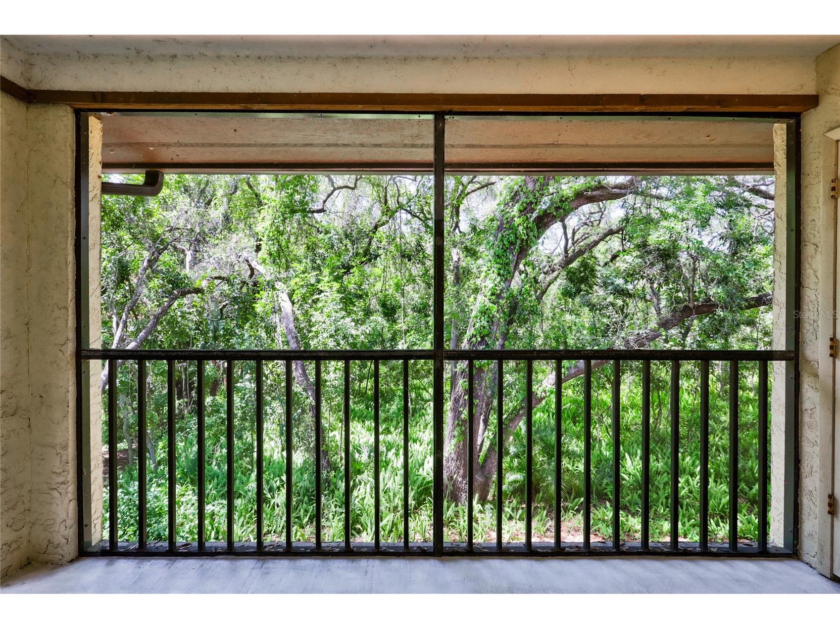 110 Hammock Pine Boulevard Clearwater FL 33761 TB8475625 image32