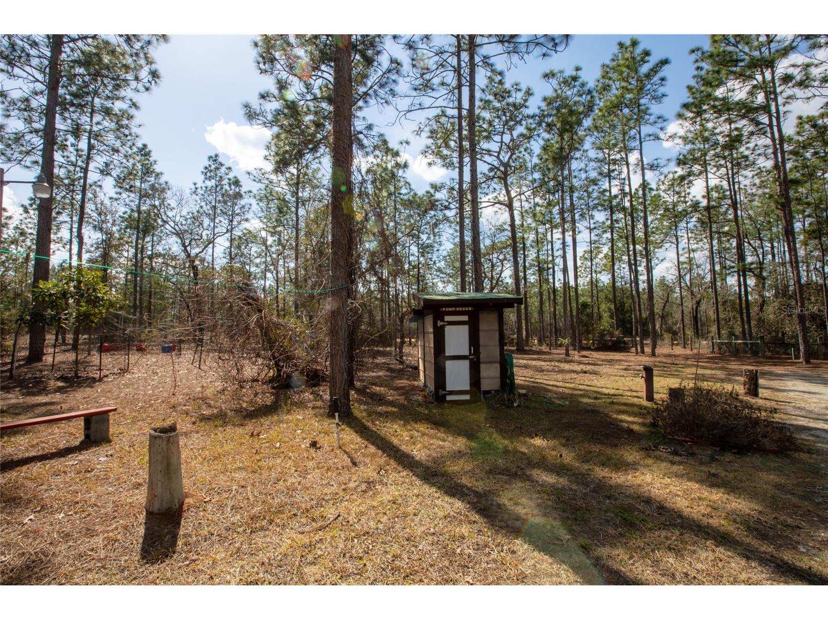 110 Hill Top Loop Hawthorne FL 32640 GC537832 image43