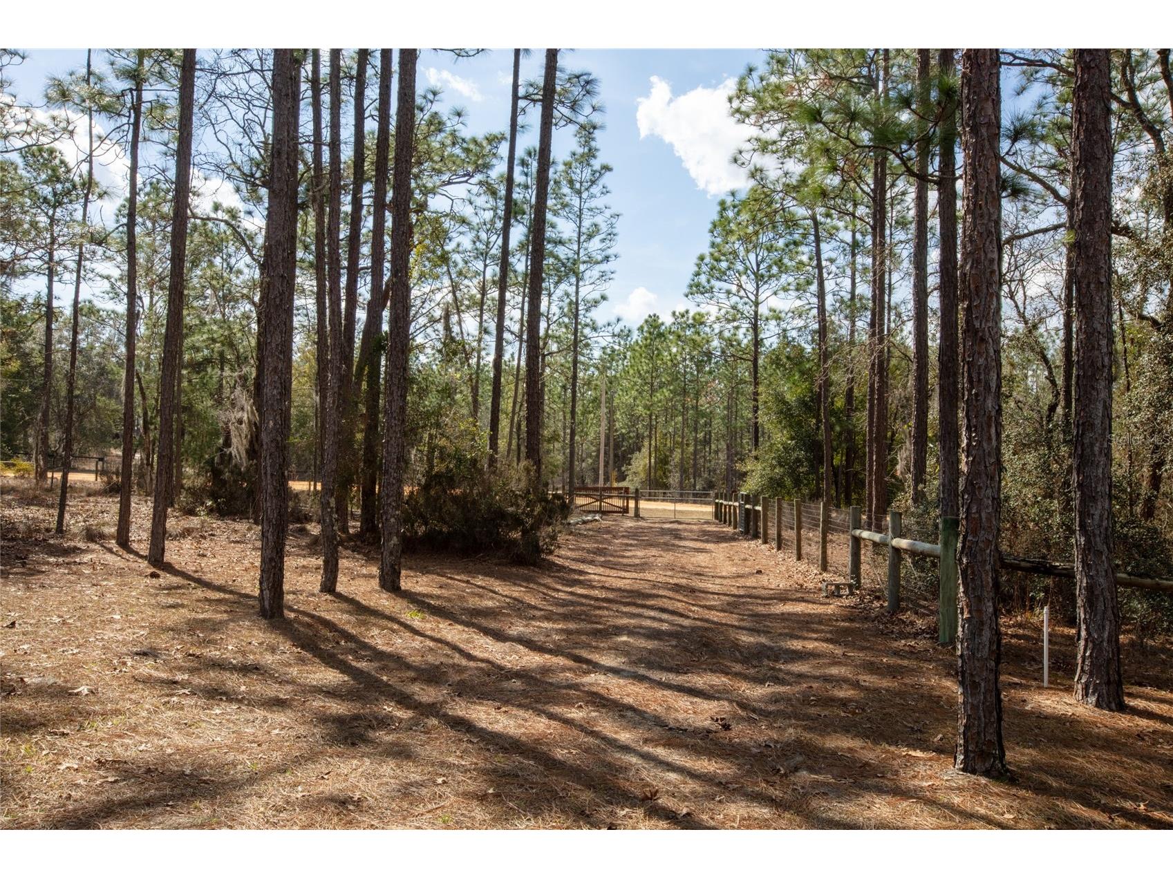 110 Hill Top Loop Hawthorne FL 32640 GC537832 image45