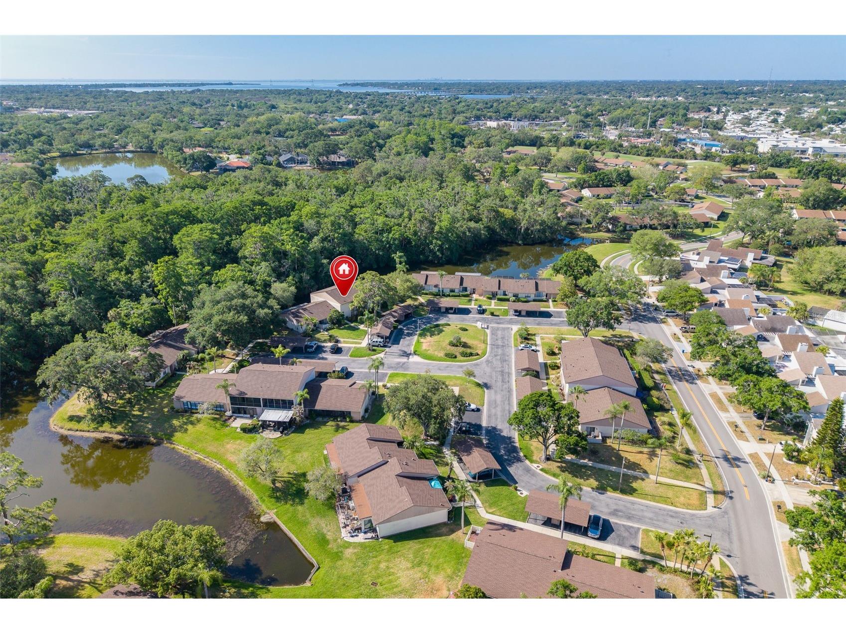 110 Ingrid Place Oldsmar FL 34677 TB8502559 image1