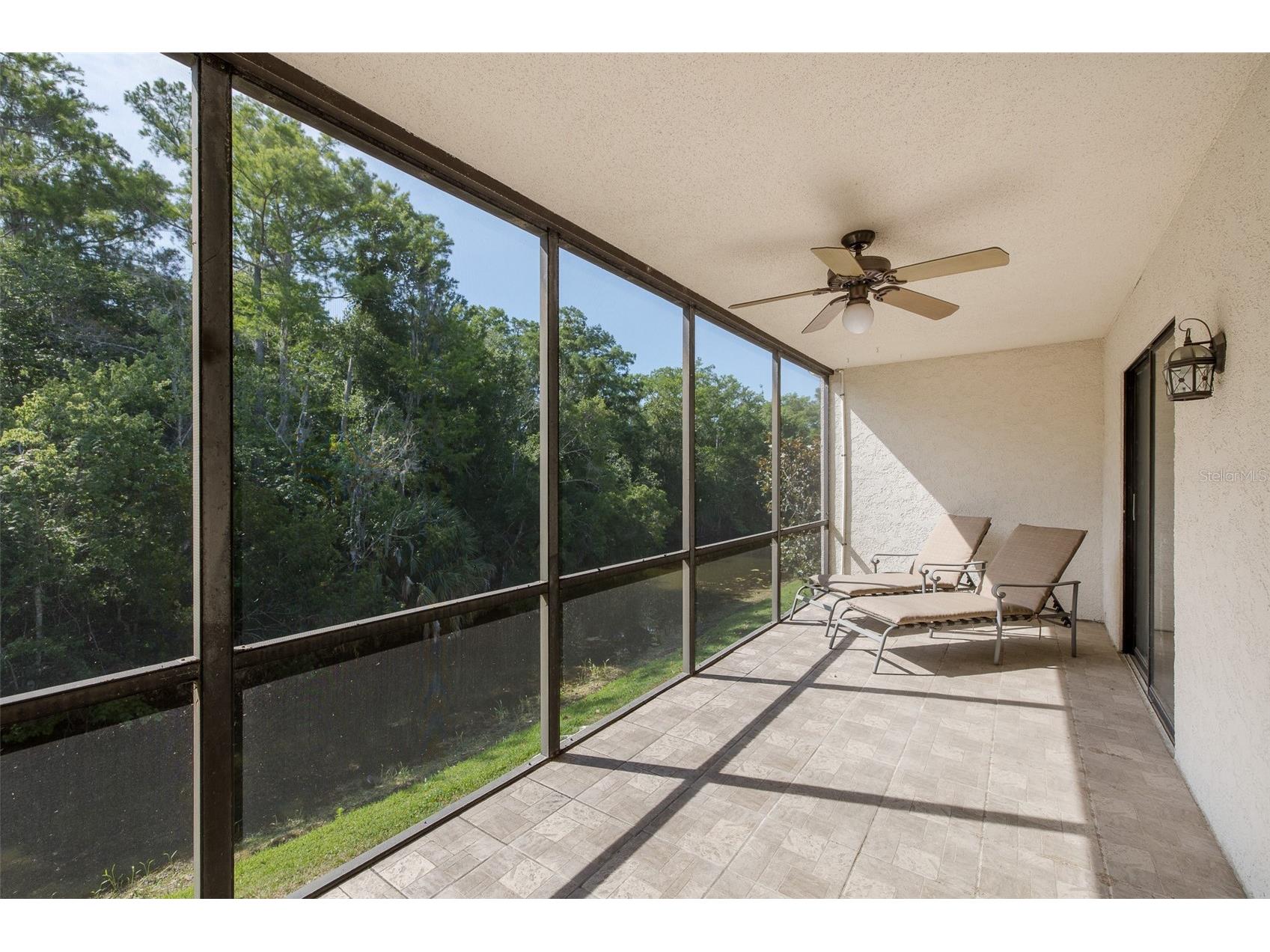 110 Ingrid Place Oldsmar FL 34677 TB8502559 image26