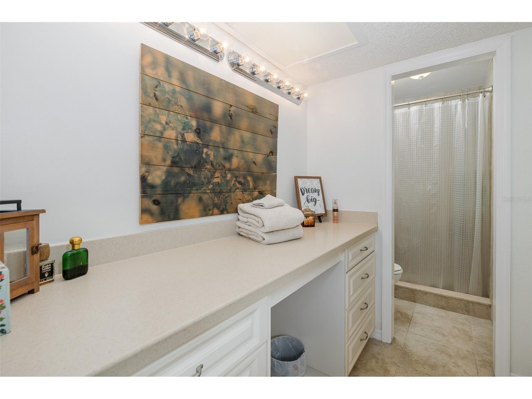110 Ingrid Place Oldsmar FL 34677 TB8502559 image28