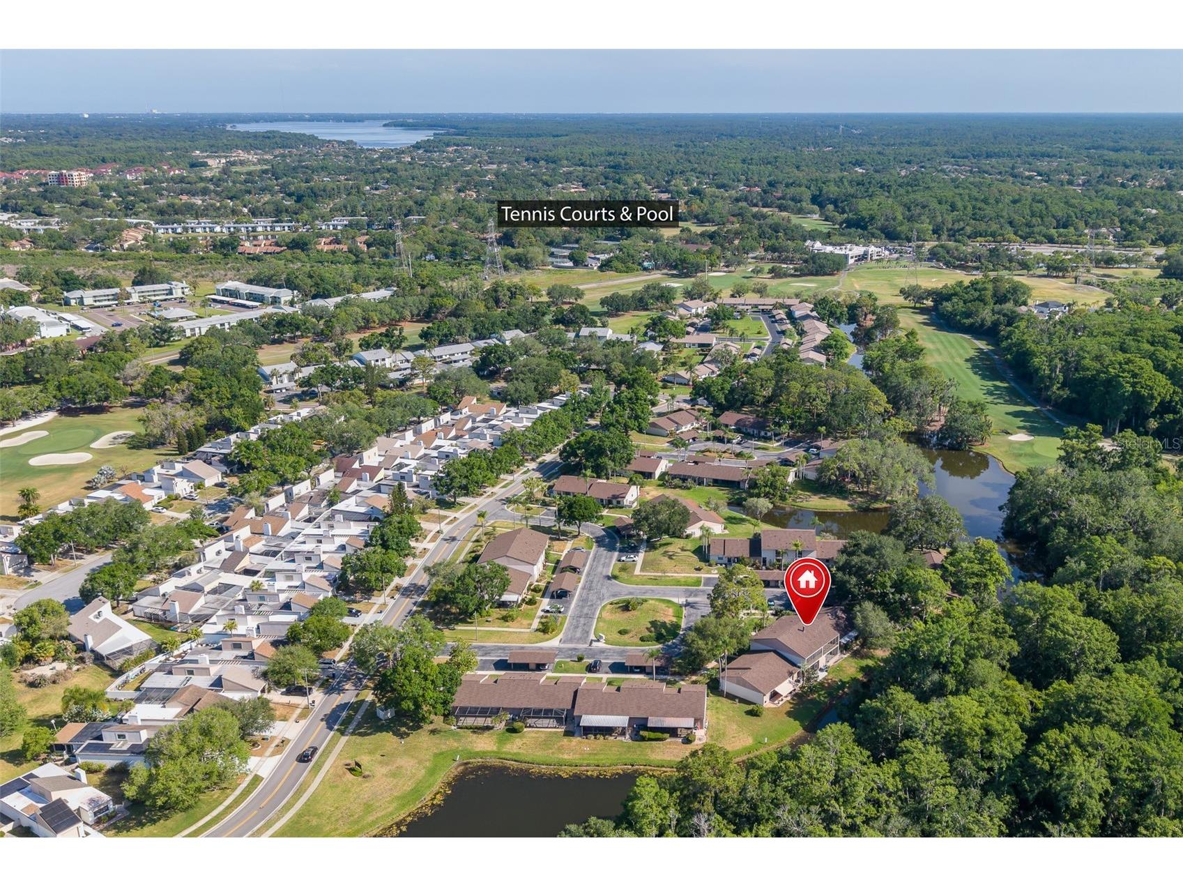 110 Ingrid Place Oldsmar FL 34677 TB8502559 image37
