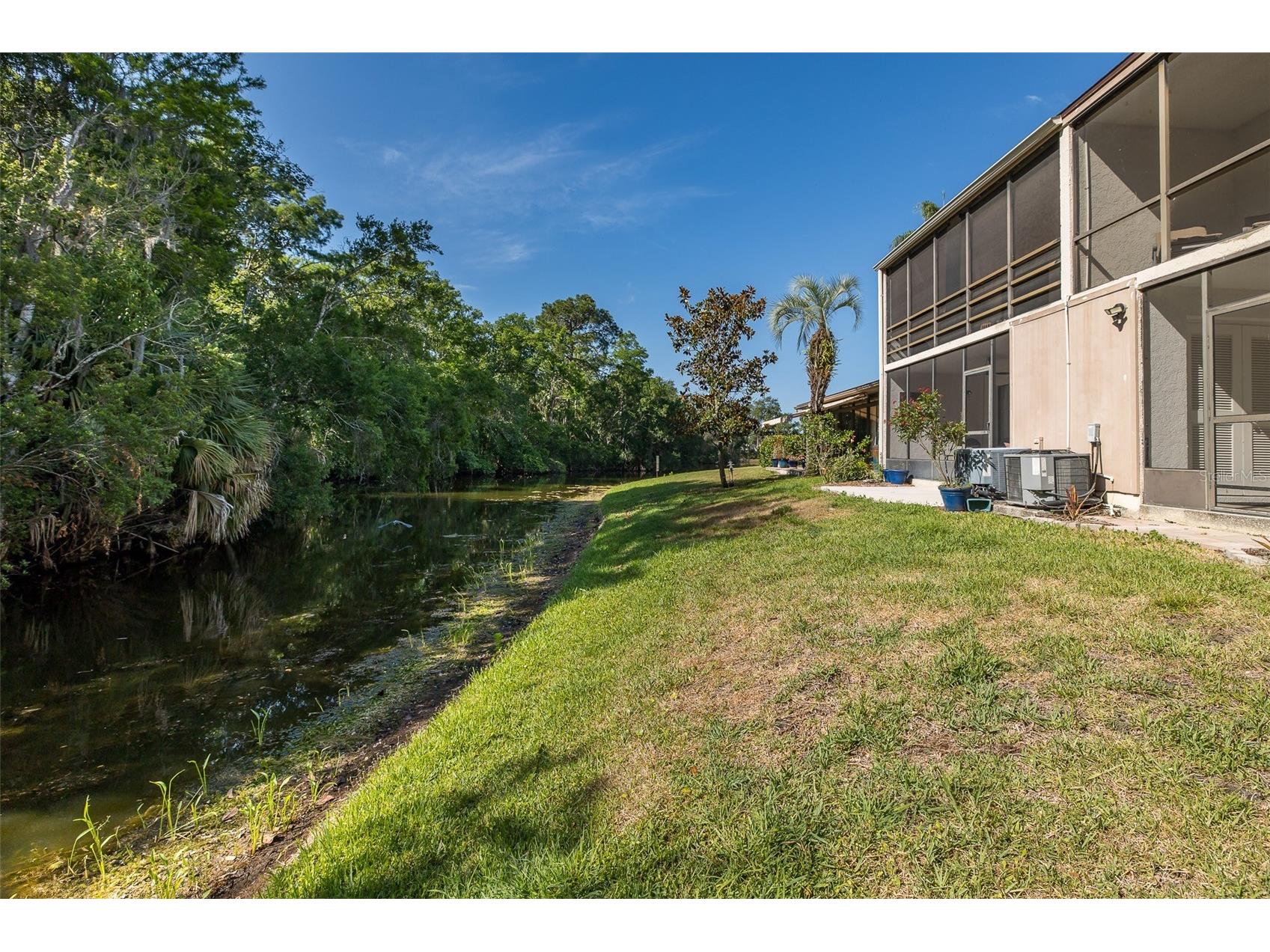 110 Ingrid Place Oldsmar FL 34677 TB8502559 image4