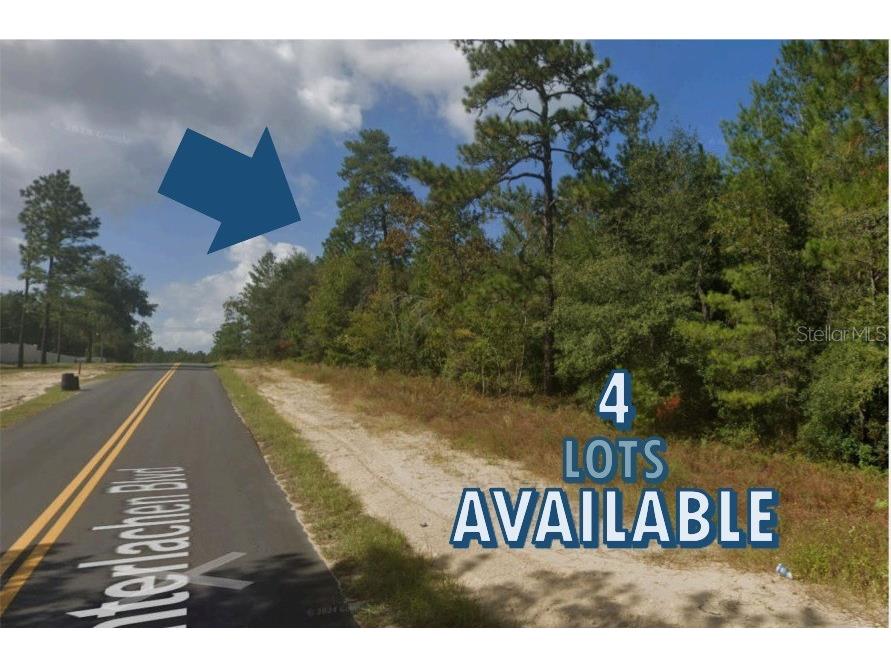 110 Interlachen Boulevard Interlachen FL 32148 OM712636 image2