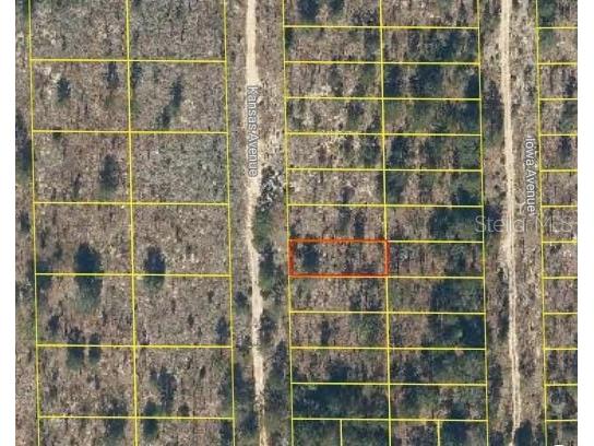 110 Kansas Avenue Hawthorne FL 32640 O6277893 image1