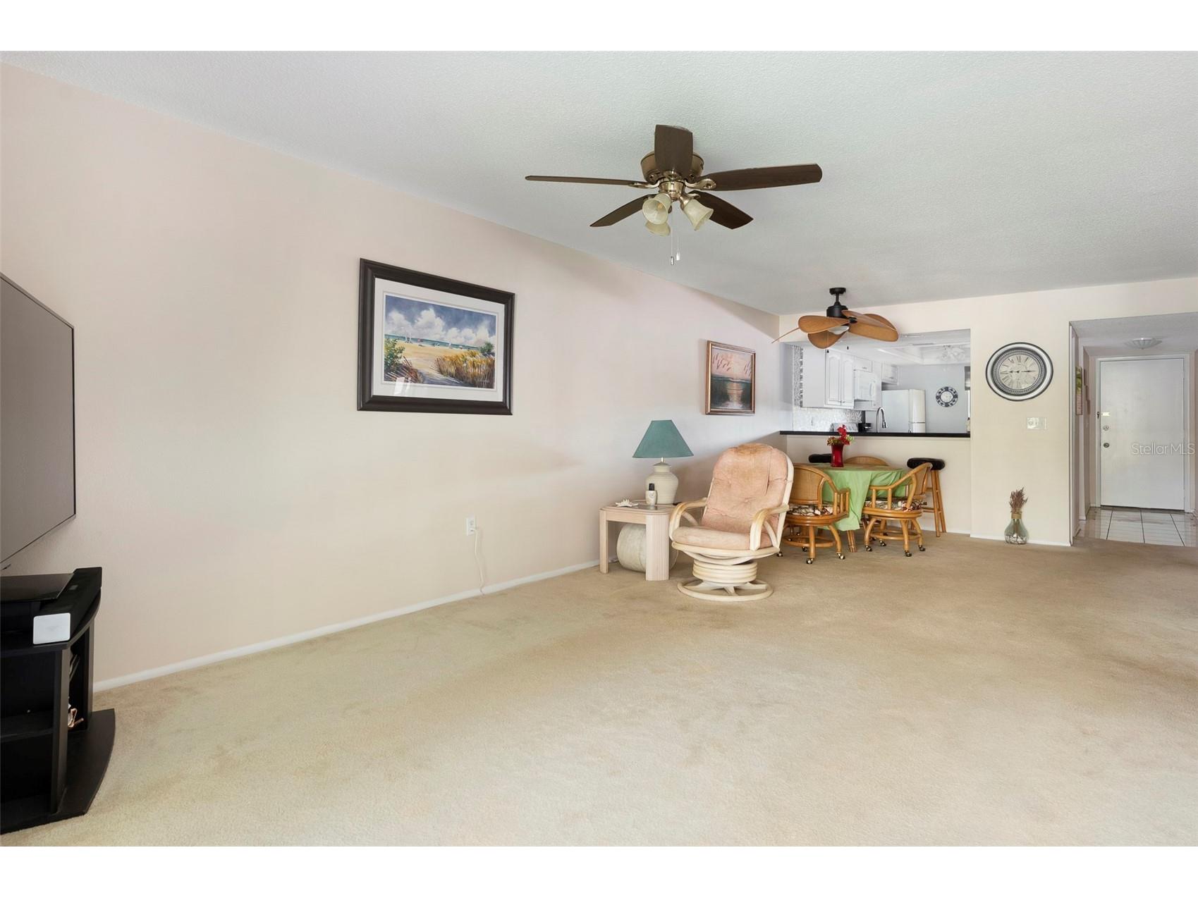 110 Lakeside Court #110 Oldsmar FL 34677 TB8484399 image11