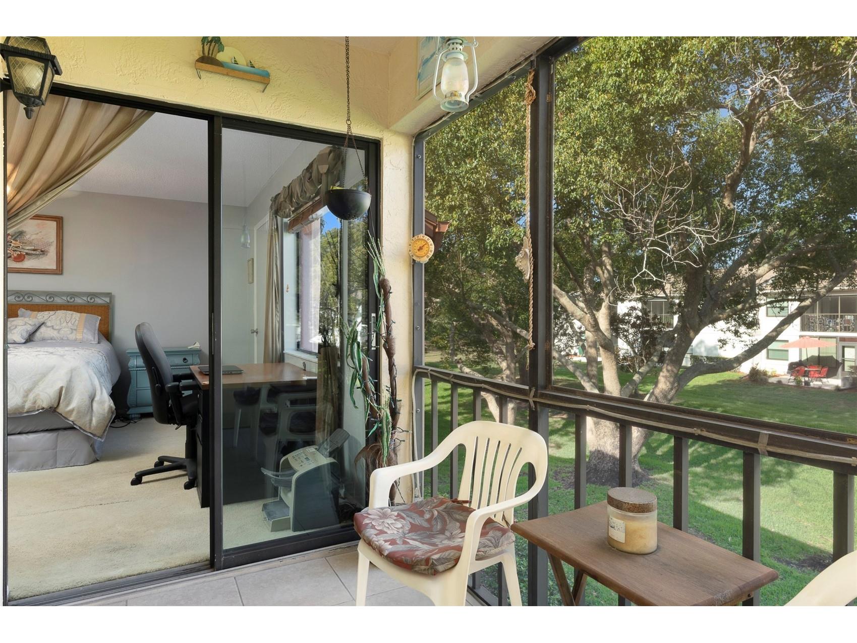 110 Lakeside Court #110 Oldsmar FL 34677 TB8484399 image15