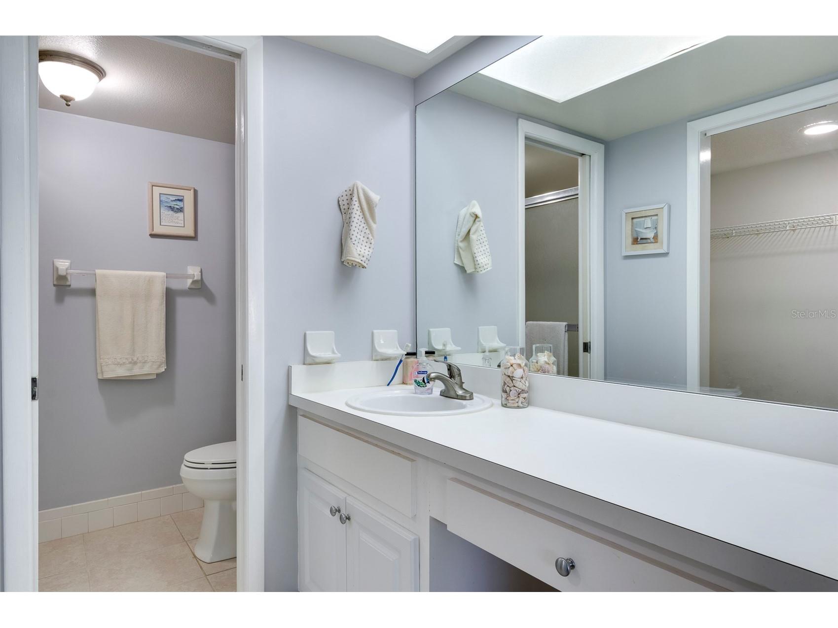 110 Lakeside Court #110 Oldsmar FL 34677 TB8484399 image20