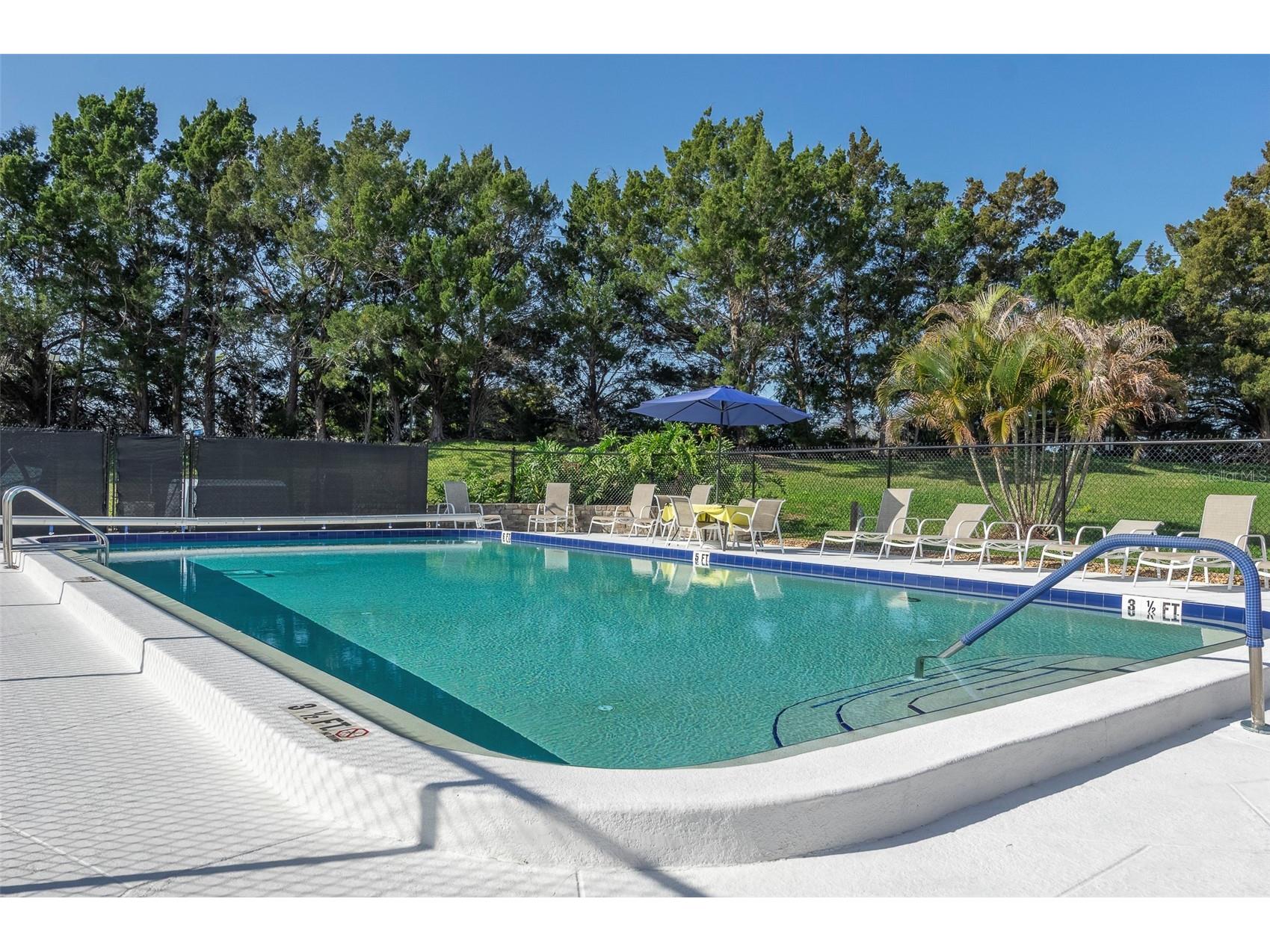 110 Lakeside Court #110 Oldsmar FL 34677 TB8484399 image26