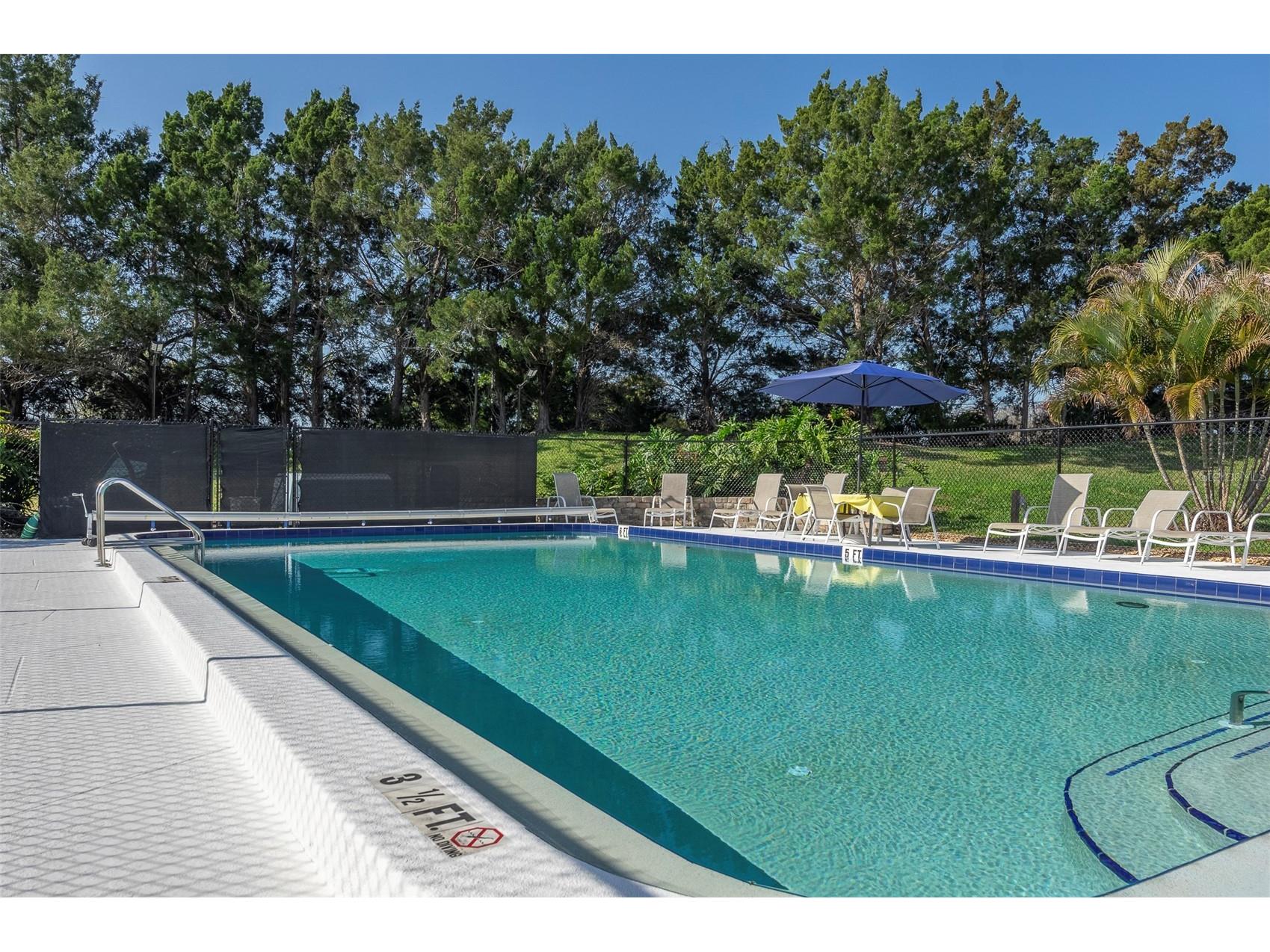 110 Lakeside Court #110 Oldsmar FL 34677 TB8484399 image27