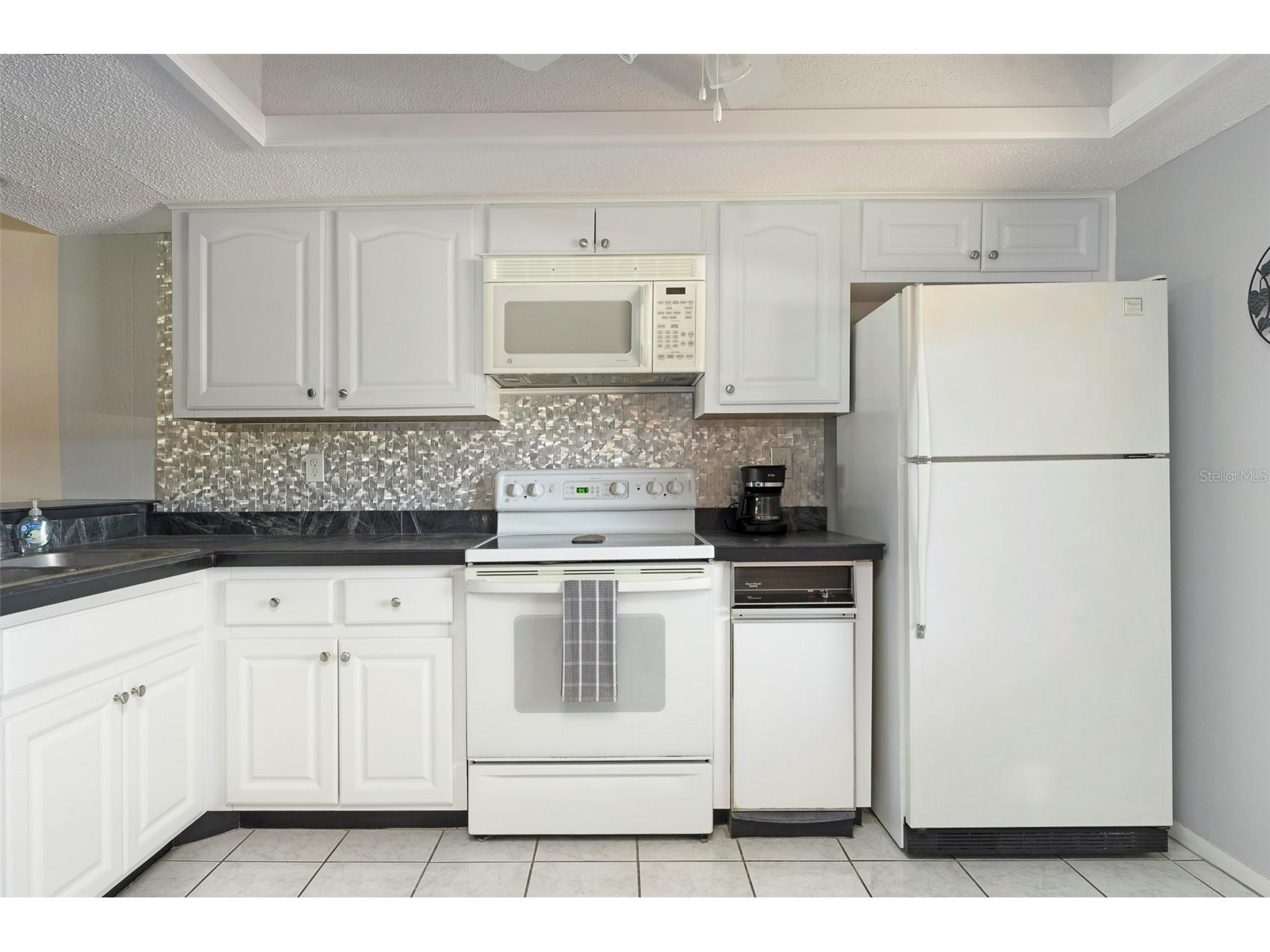 110 Lakeside Court #110 Oldsmar FL 34677 TB8484399 image5