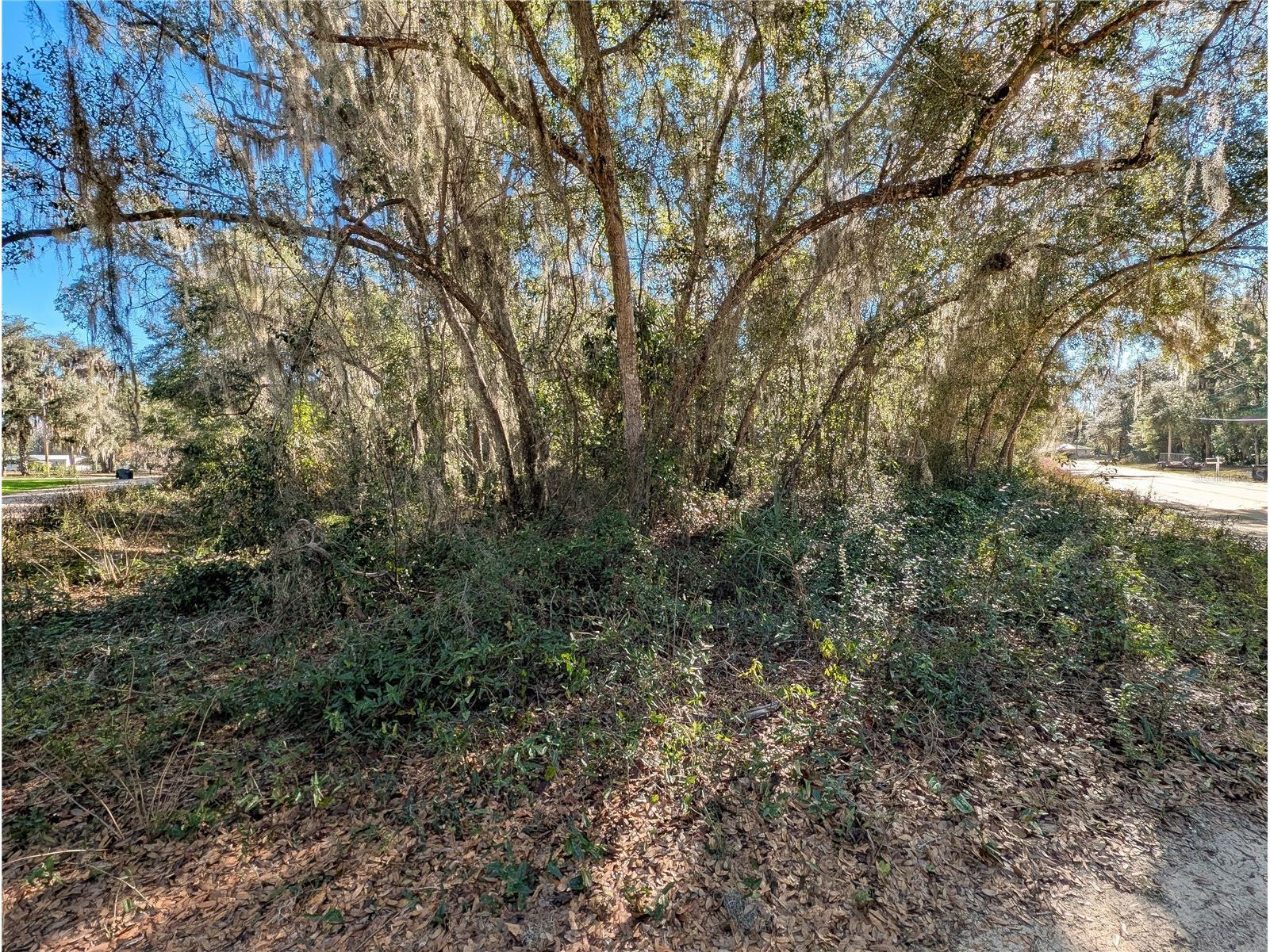 110 Leeward Road Satsuma FL 32189 O6377799 image17