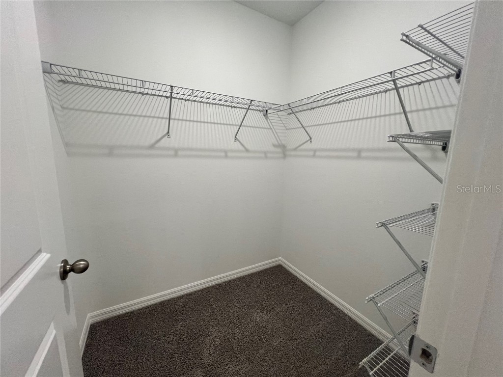 110 Mangrove Shade Circle Apollo Beach FL 33572 TB8443082 image21