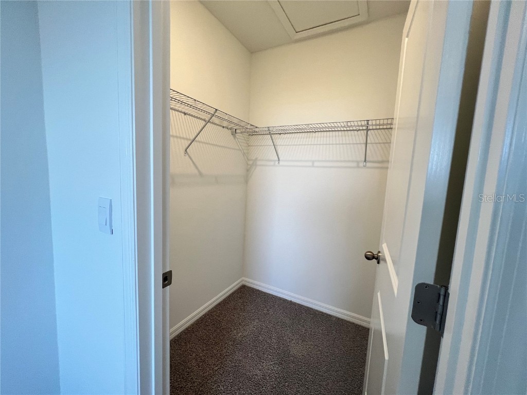 110 Mangrove Shade Circle Apollo Beach FL 33572 TB8443082 image22