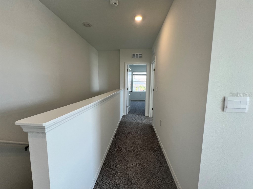 110 Mangrove Shade Circle Apollo Beach FL 33572 TB8443082 image23