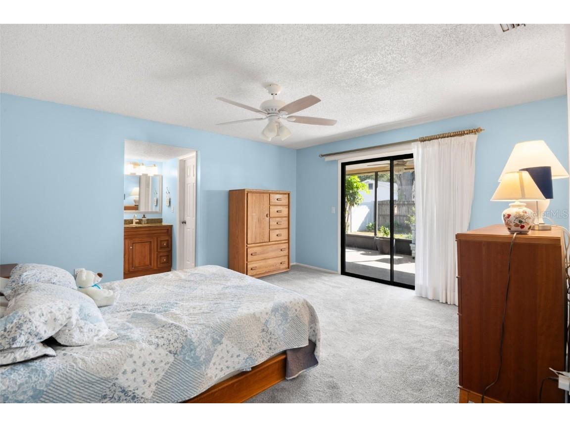 110 Meadowcross Drive Safety Harbor FL 34695 TB8449601 image21