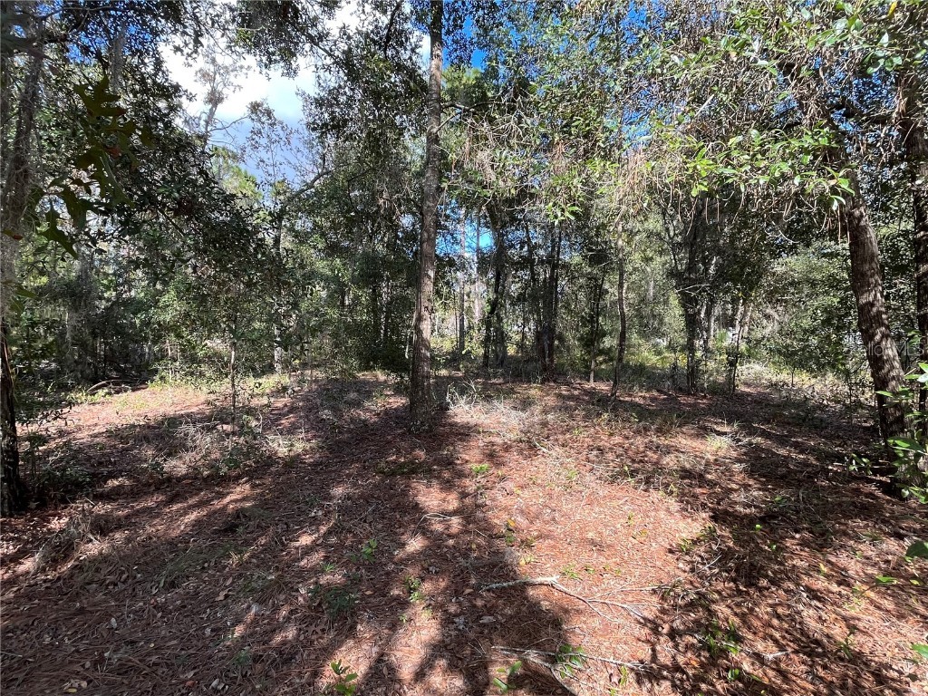 110 Morning Glory Lane Interlachen FL 32148 OK223367 image1