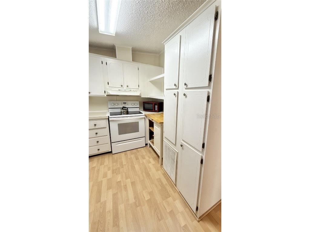 110 Mount Curve Avenue NE #16 Saint Petersburg FL 33702 - TAMPA BAY TB8451927 image7