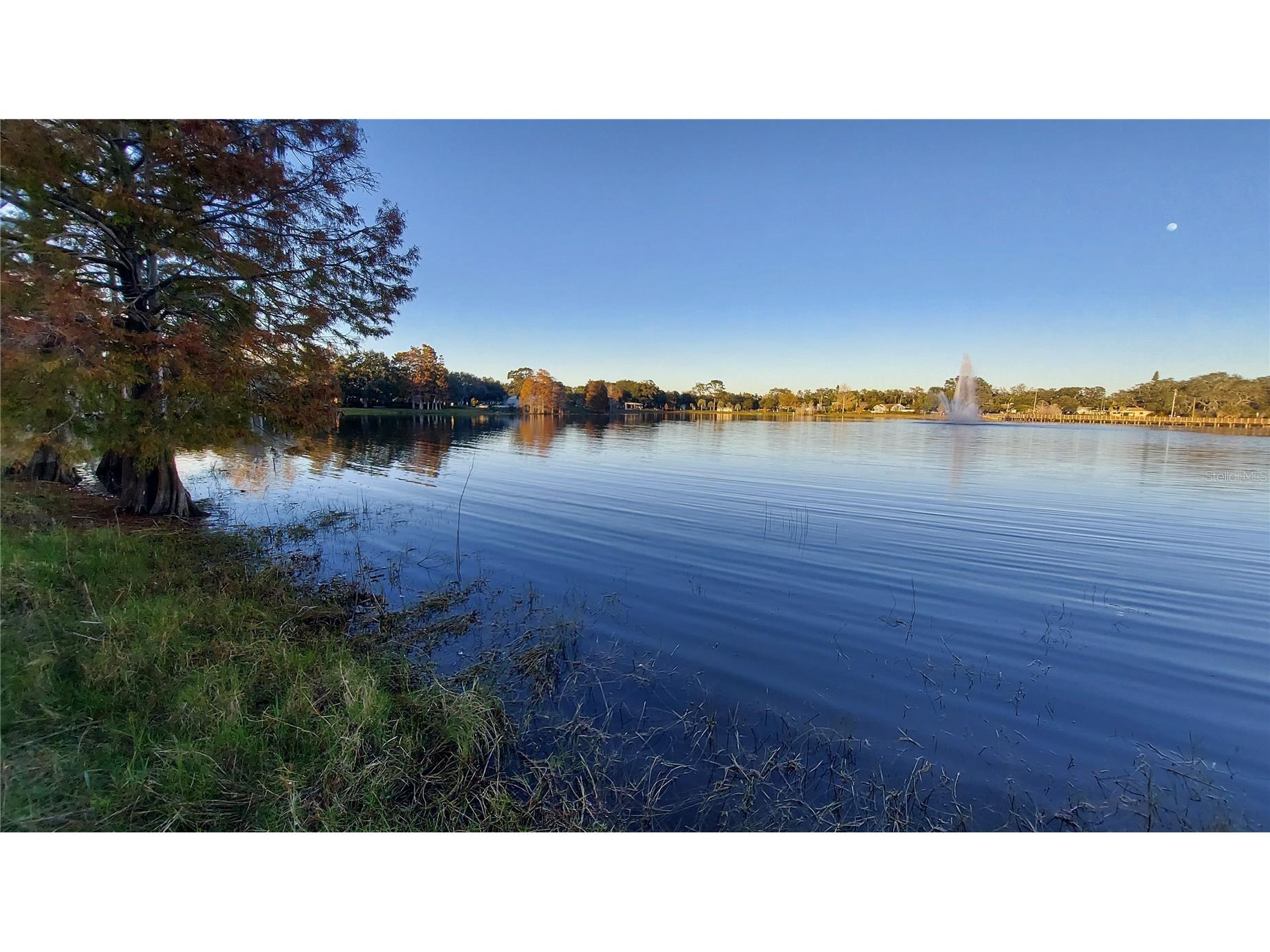 110 N Crest Avenue Clearwater FL 33755 TB8460127 image35