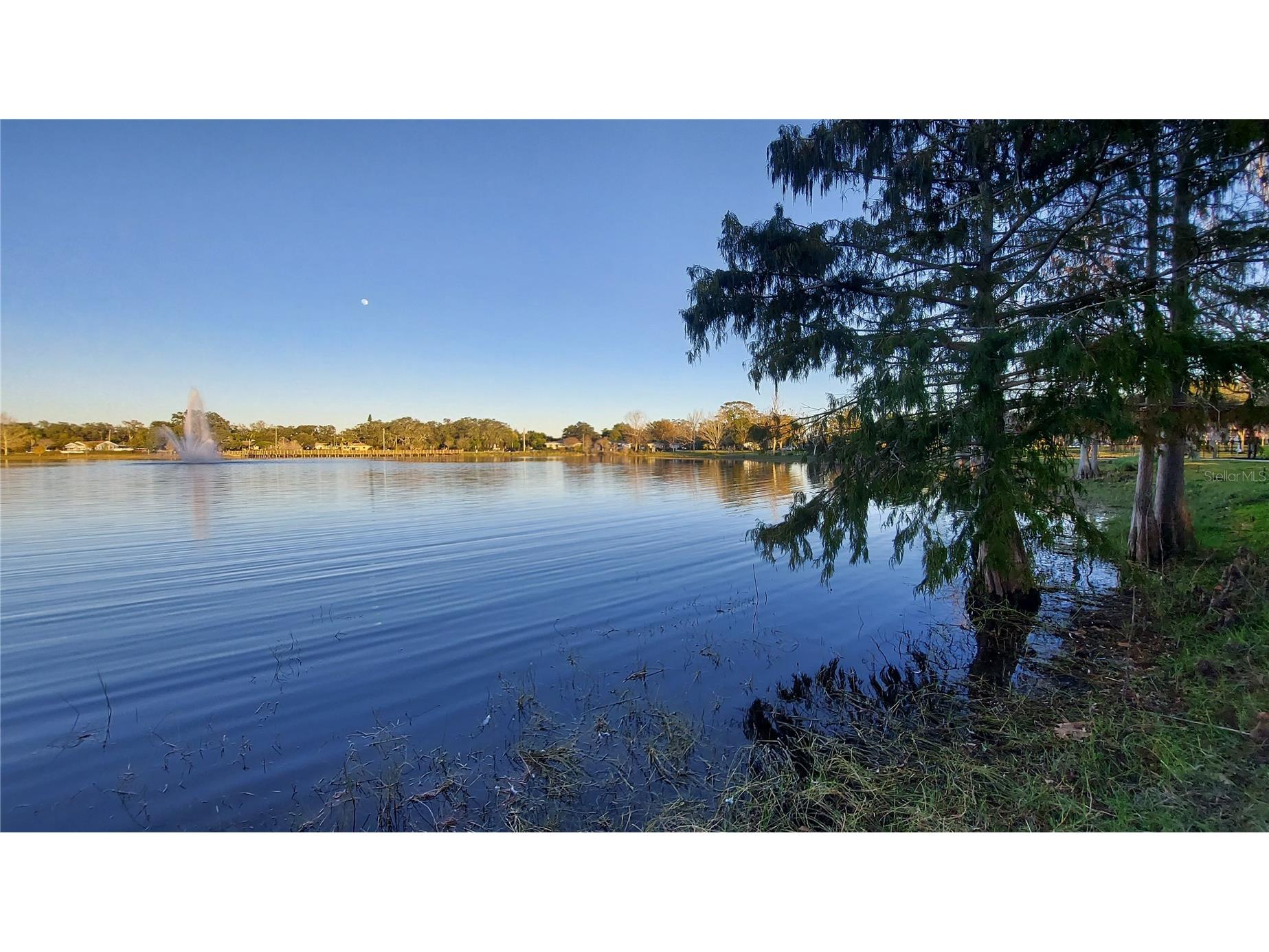 110 N Crest Avenue Clearwater FL 33755 TB8460127 image36