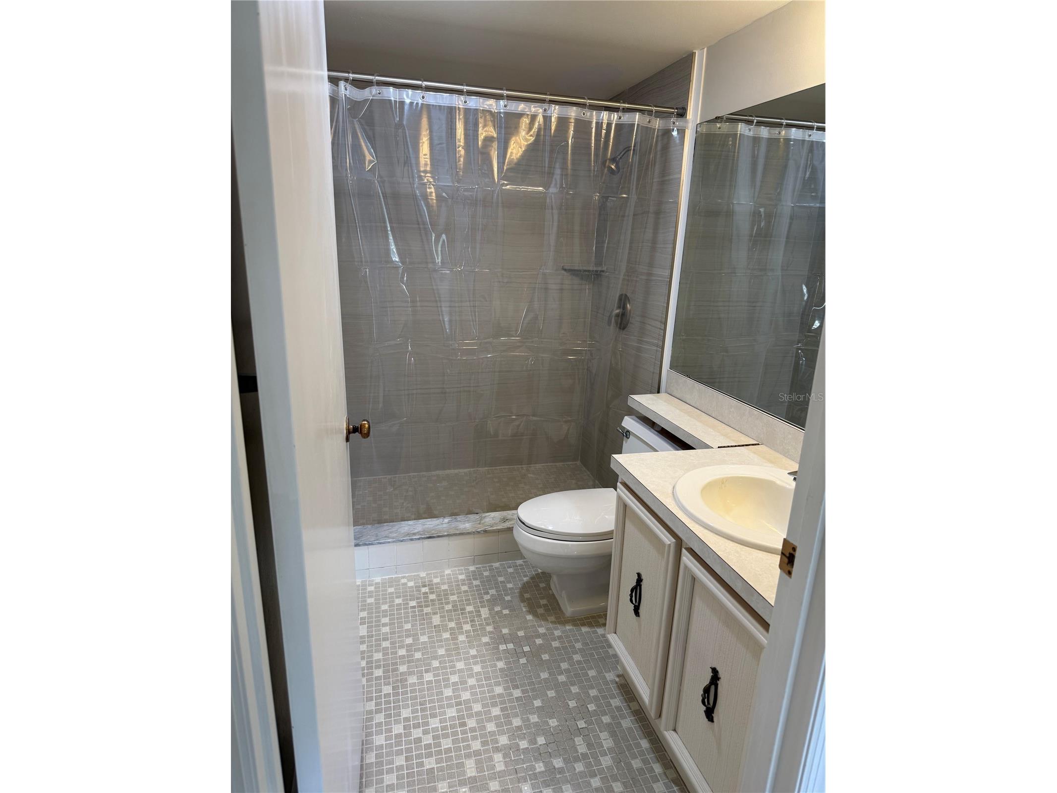 110 N Tremain St #105 Mount Dora FL 32757 G5115096 image14