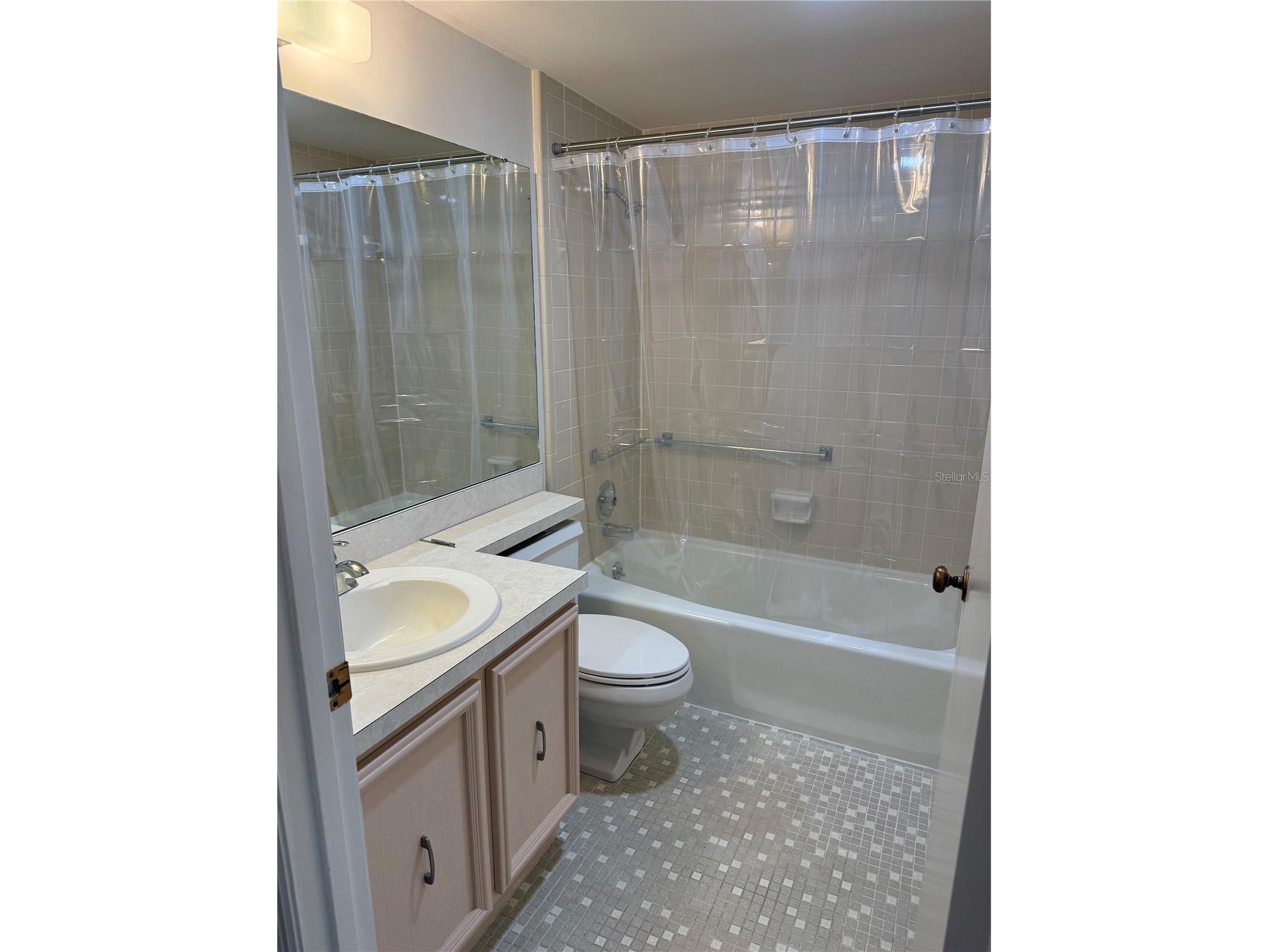 110 N Tremain St #105 Mount Dora FL 32757 G5115096 image16