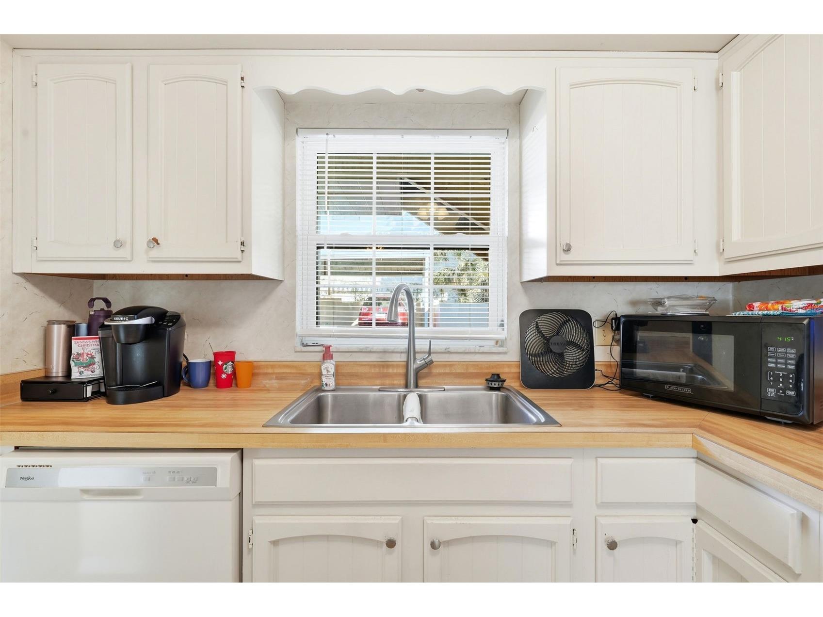 110 N Tremain Street #109 Mount Dora FL 32757 G5108160 image3