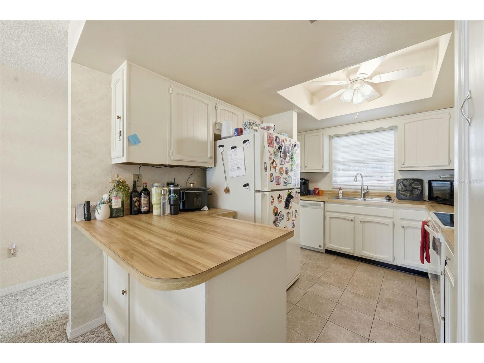 110 N Tremain Street #109 Mount Dora FL 32757 G5108160 image4