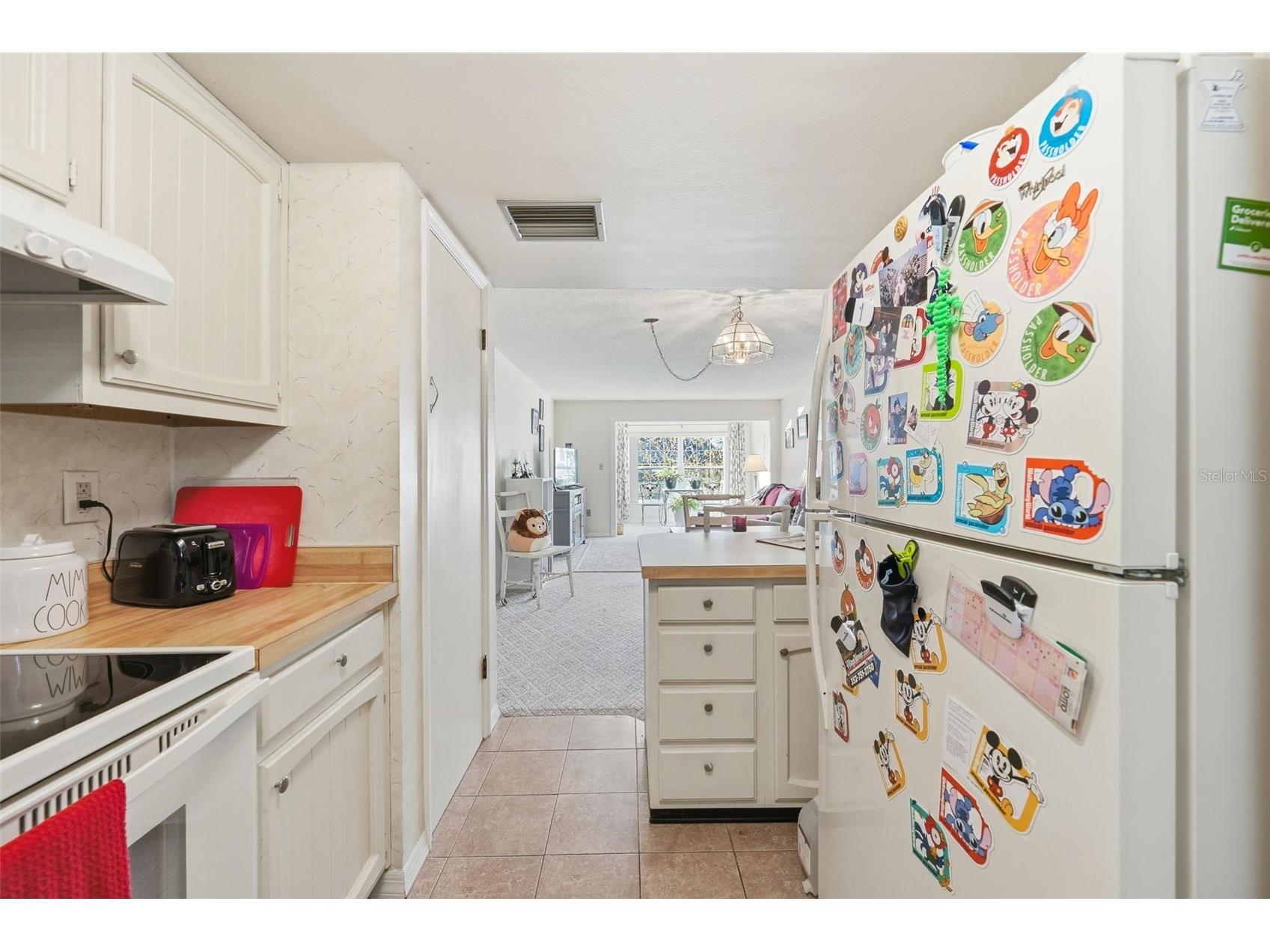 110 N Tremain Street #109 Mount Dora FL 32757 G5108160 image5