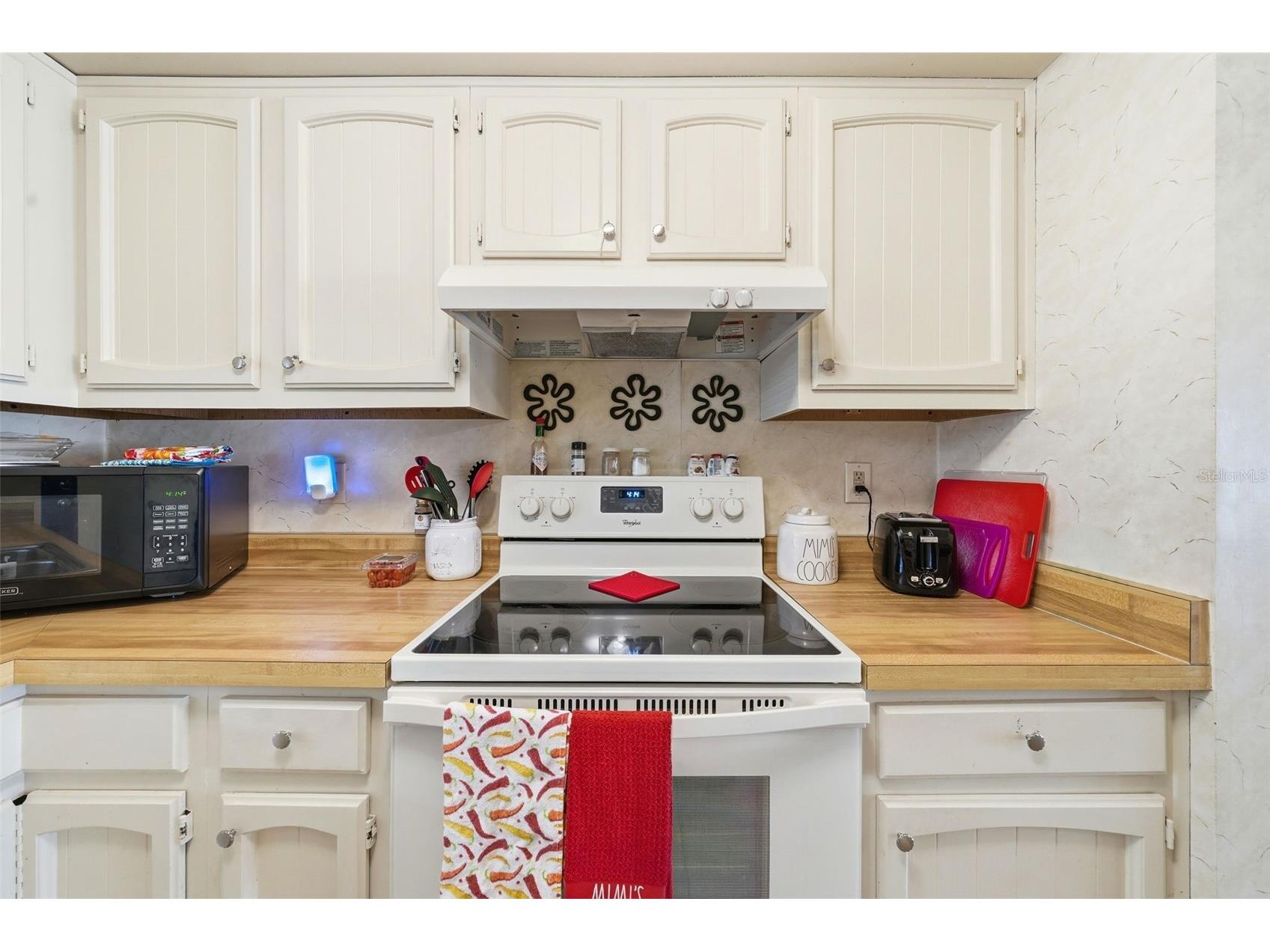 110 N Tremain Street #109 Mount Dora FL 32757 G5108160 image6
