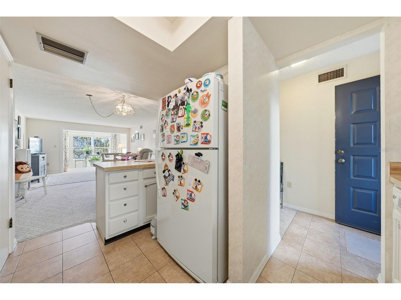 110 N Tremain Street #109 Mount Dora FL 32757 G5108160 image7