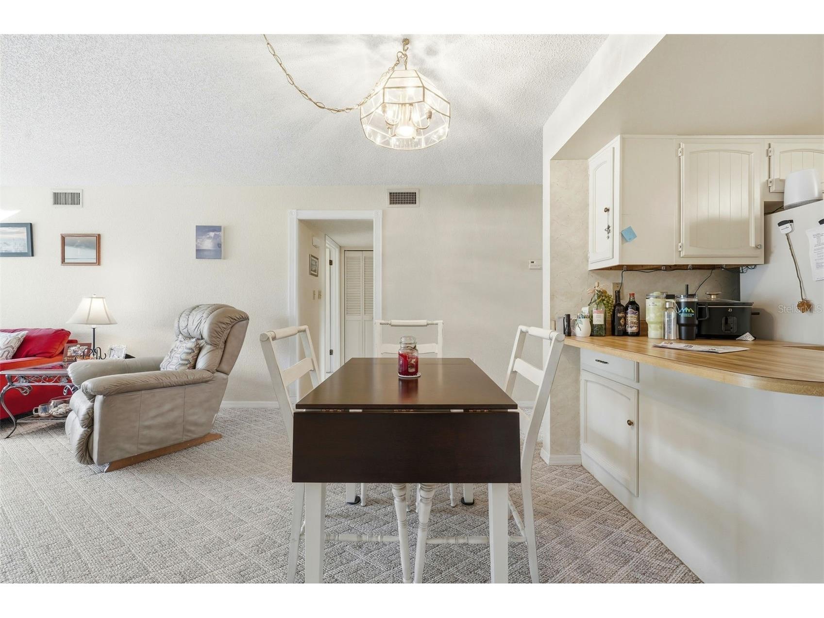 110 N Tremain Street #109 Mount Dora FL 32757 G5108160 image8